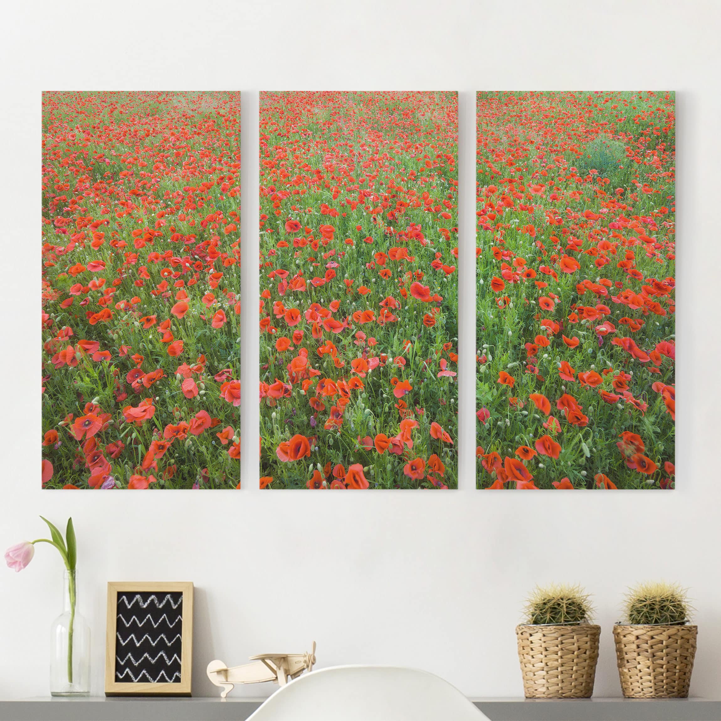 3-teiliges Leinwandbild Blumen Mohnblumenfeld