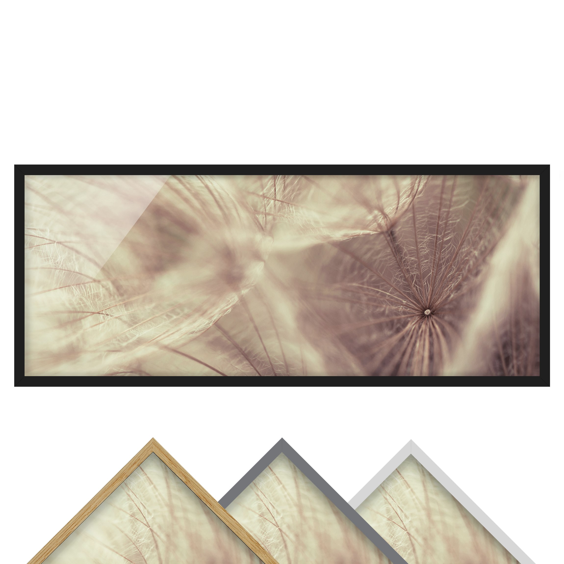Bild mit Rahmen - Panorama Detailreiche Pusteblumen Makroaufnahme mit Vintage Blur Effekt