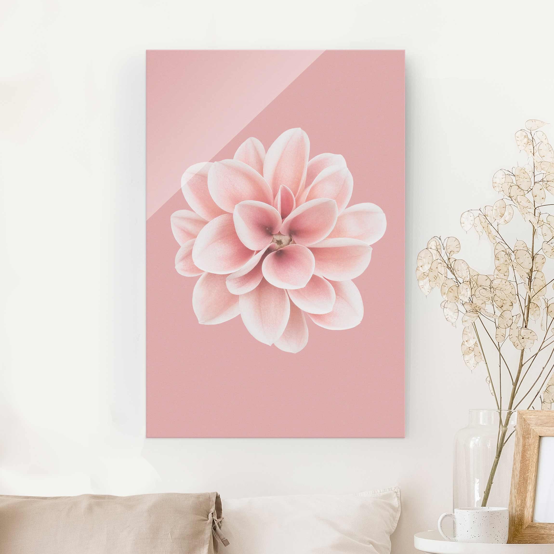 Glasbild Dahlie Rosa Blush Blume Zentriert