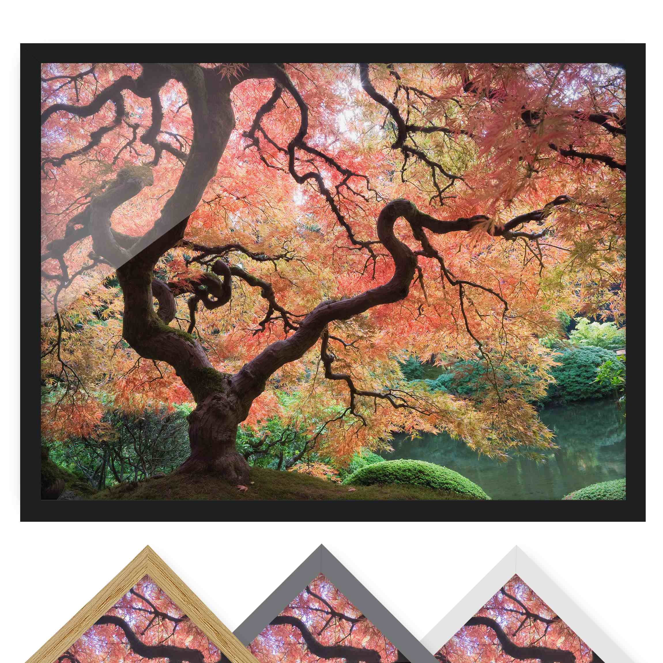 Natur & Landschaft Bild mit Rahmen Japanischer Garten