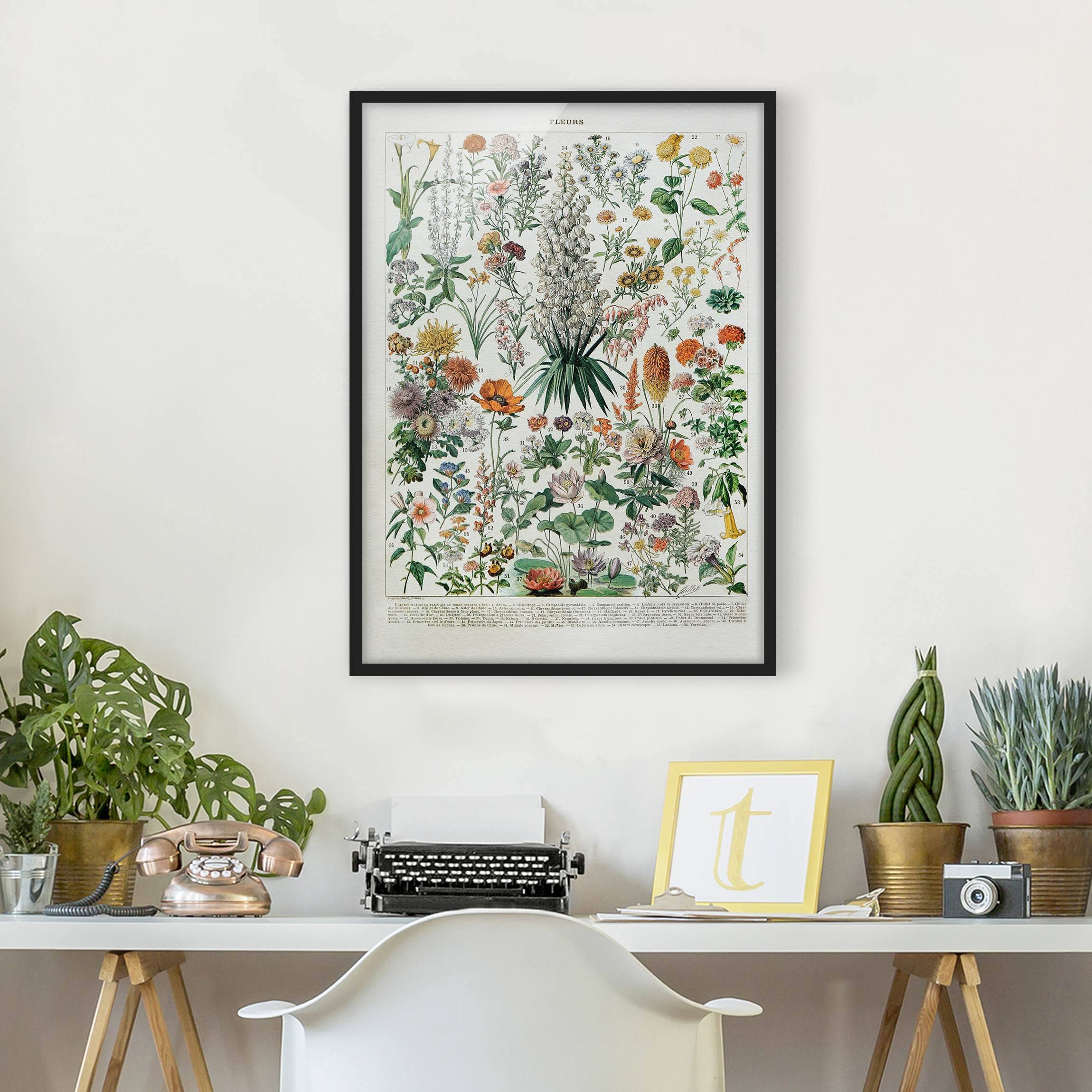 Bild mit Rahmen - Hochformat Vintage Lehrtafel Blumen I