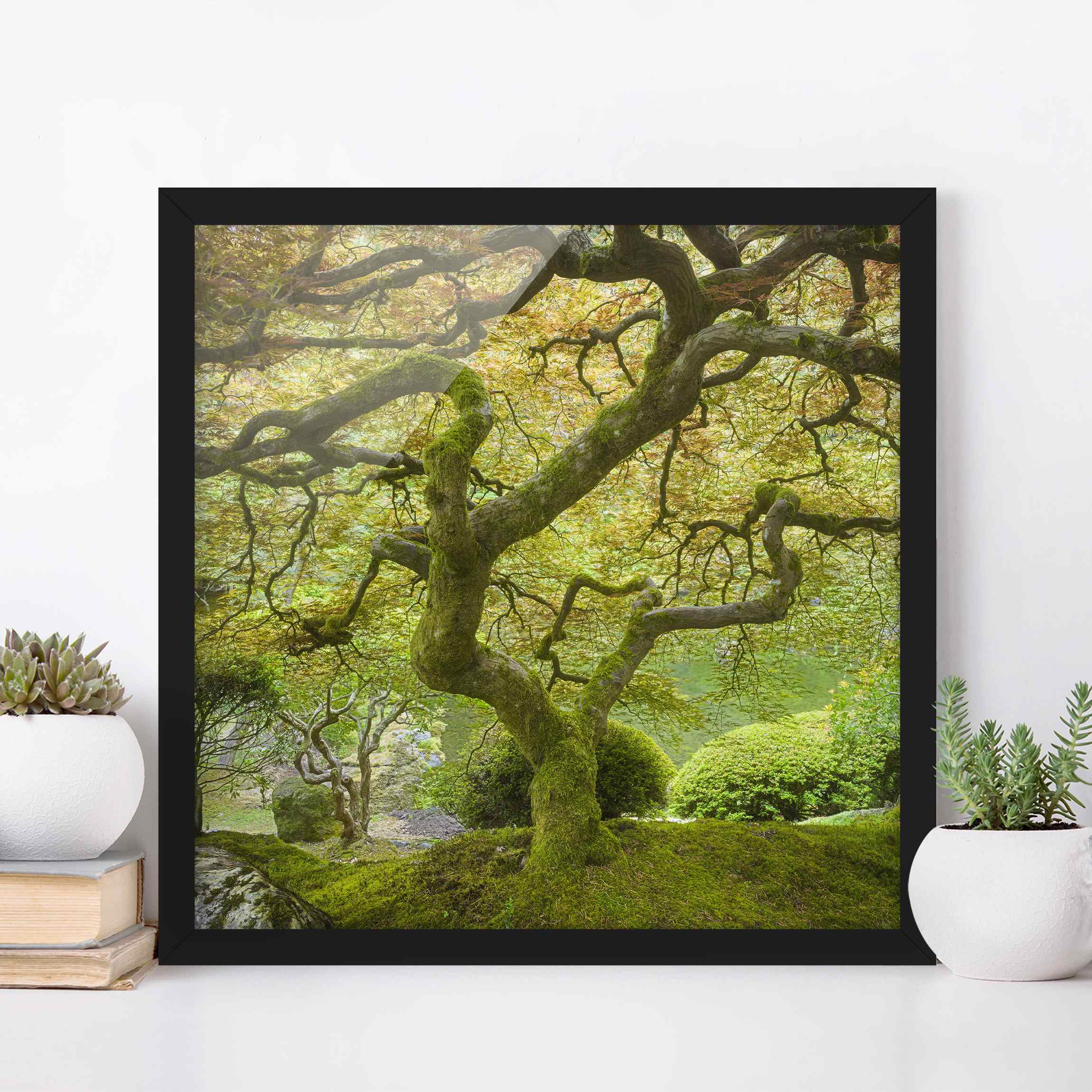 Bild mit Rahmen - Quadrat Grüner Japanischer Garten