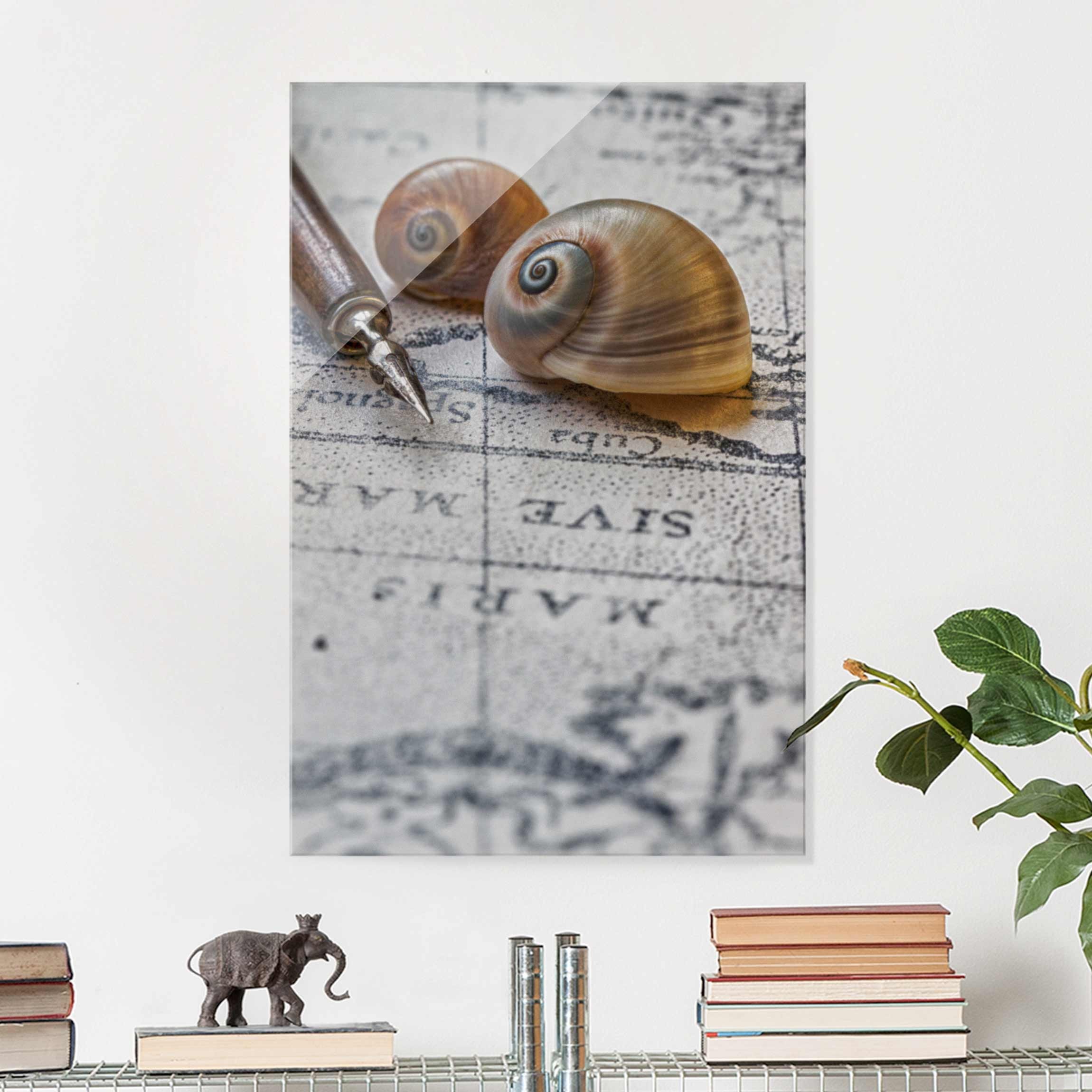 Glasbild - Hochformat Muscheln und Füller Vintage