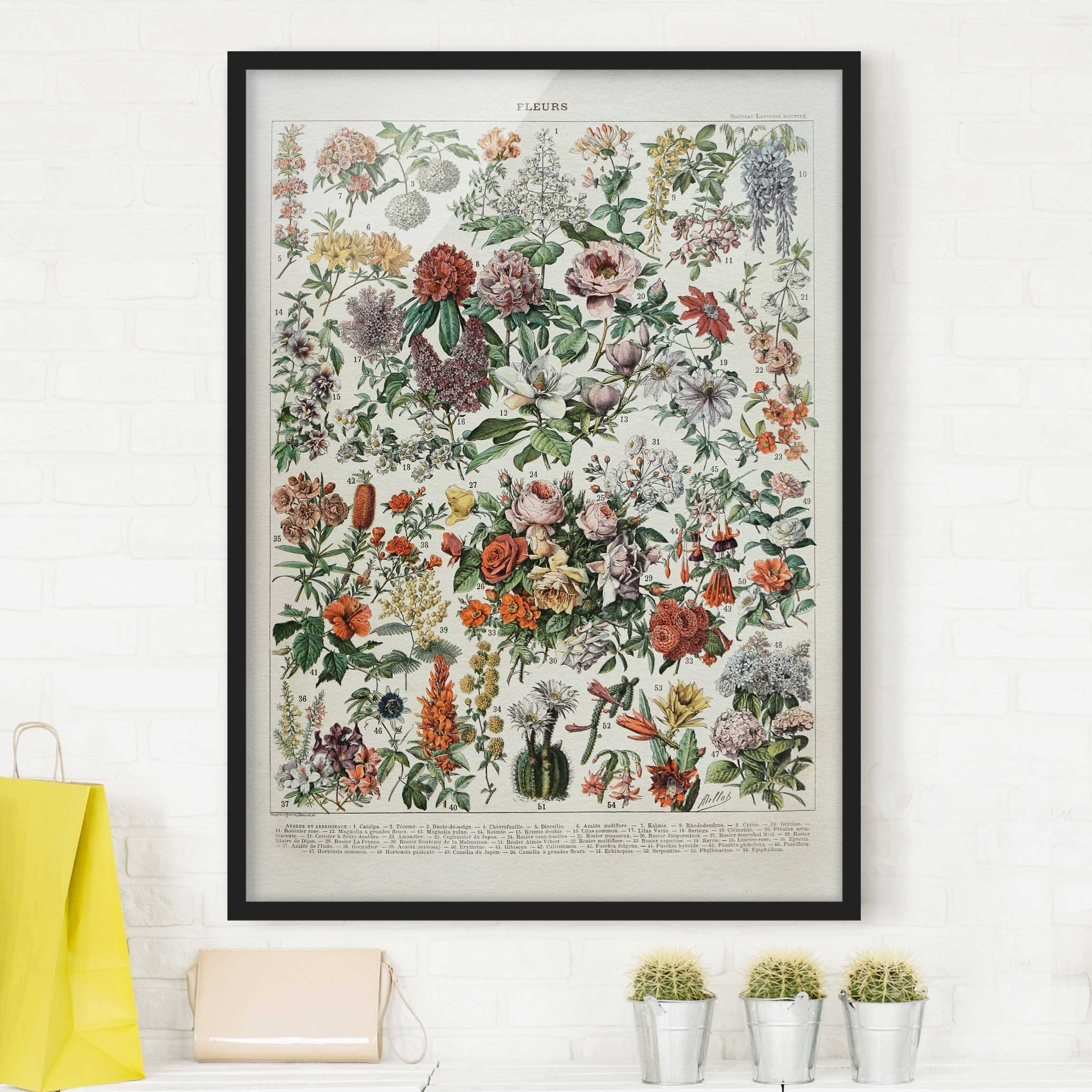 Bild mit Rahmen - Hochformat Vintage Lehrtafel Blumen II