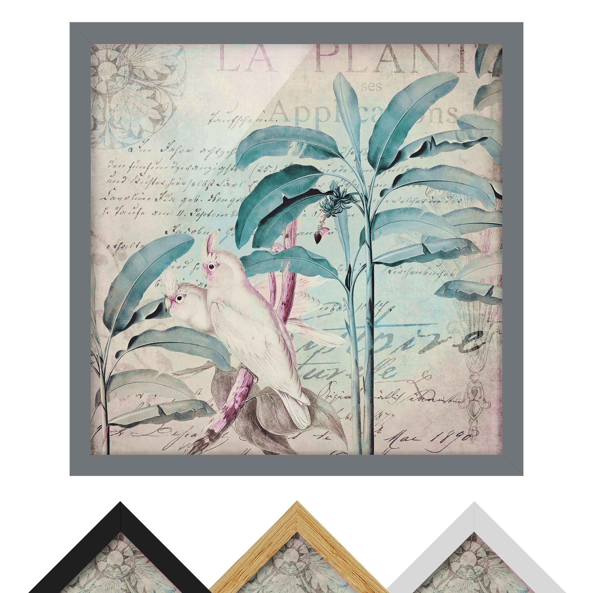 Bild mit Rahmen - Quadrat Colonial Style Collage - Kakadus und Palmen