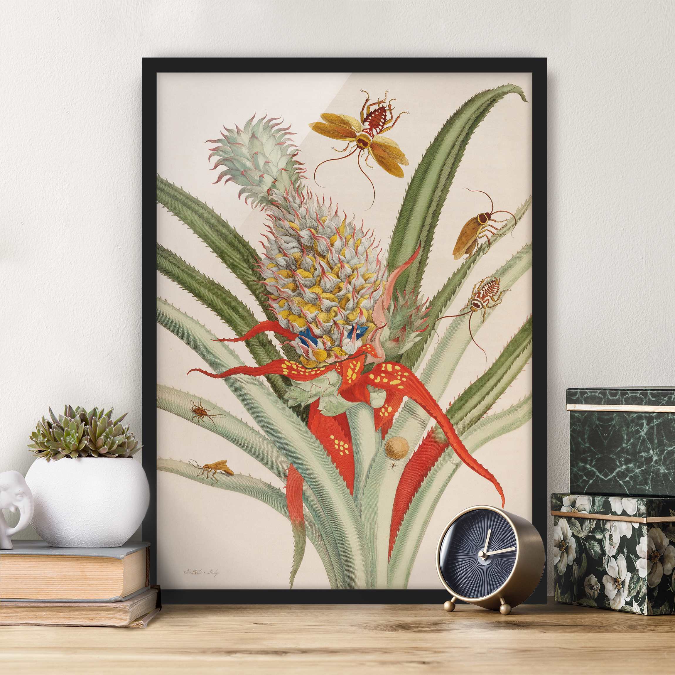 Bild mit Rahmen - Hochformat Anna Maria Sibylla Merian - Ananas mit Insekten