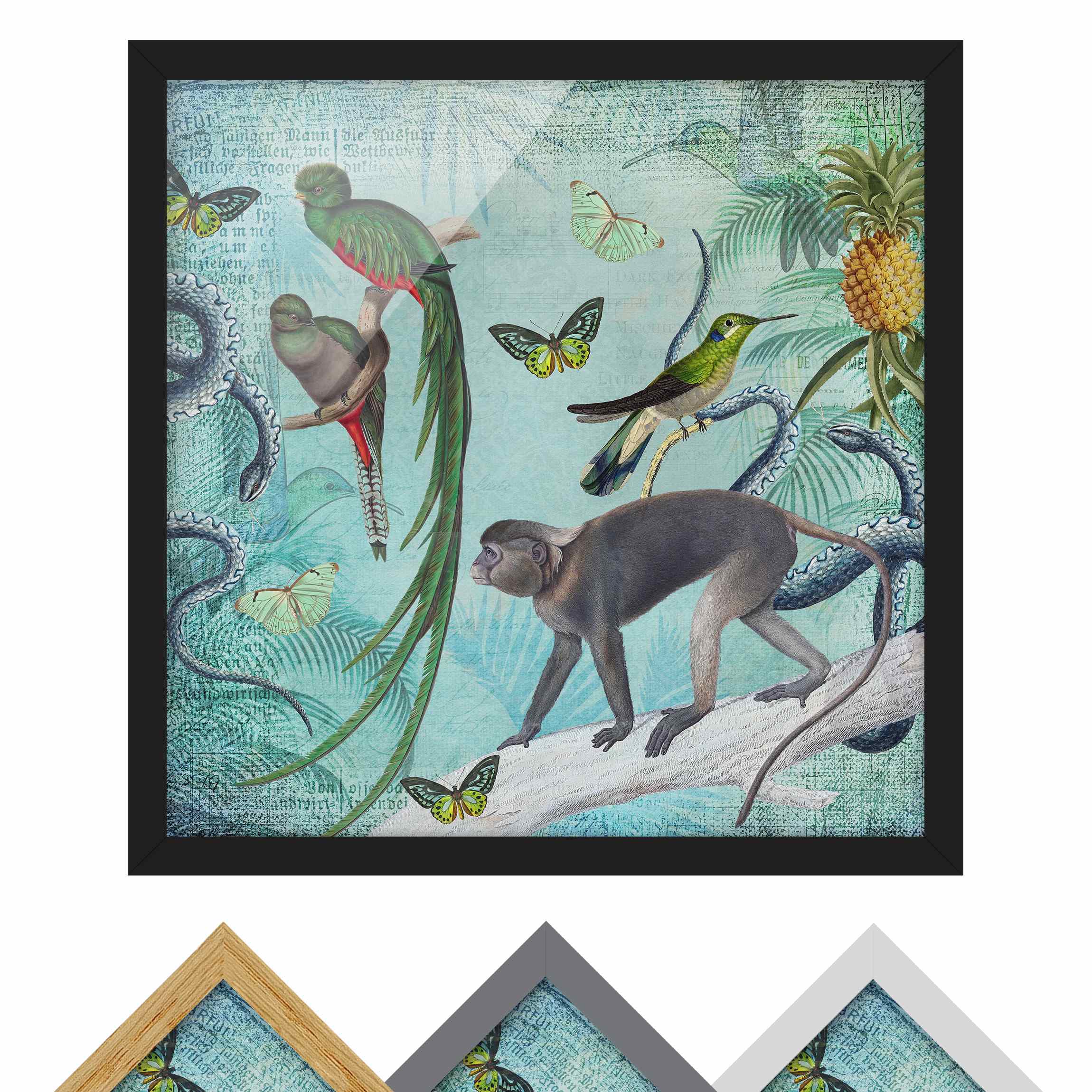 Bild mit Rahmen - Quadrat Colonial Style Collage - Äffchen und Paradiesvögel