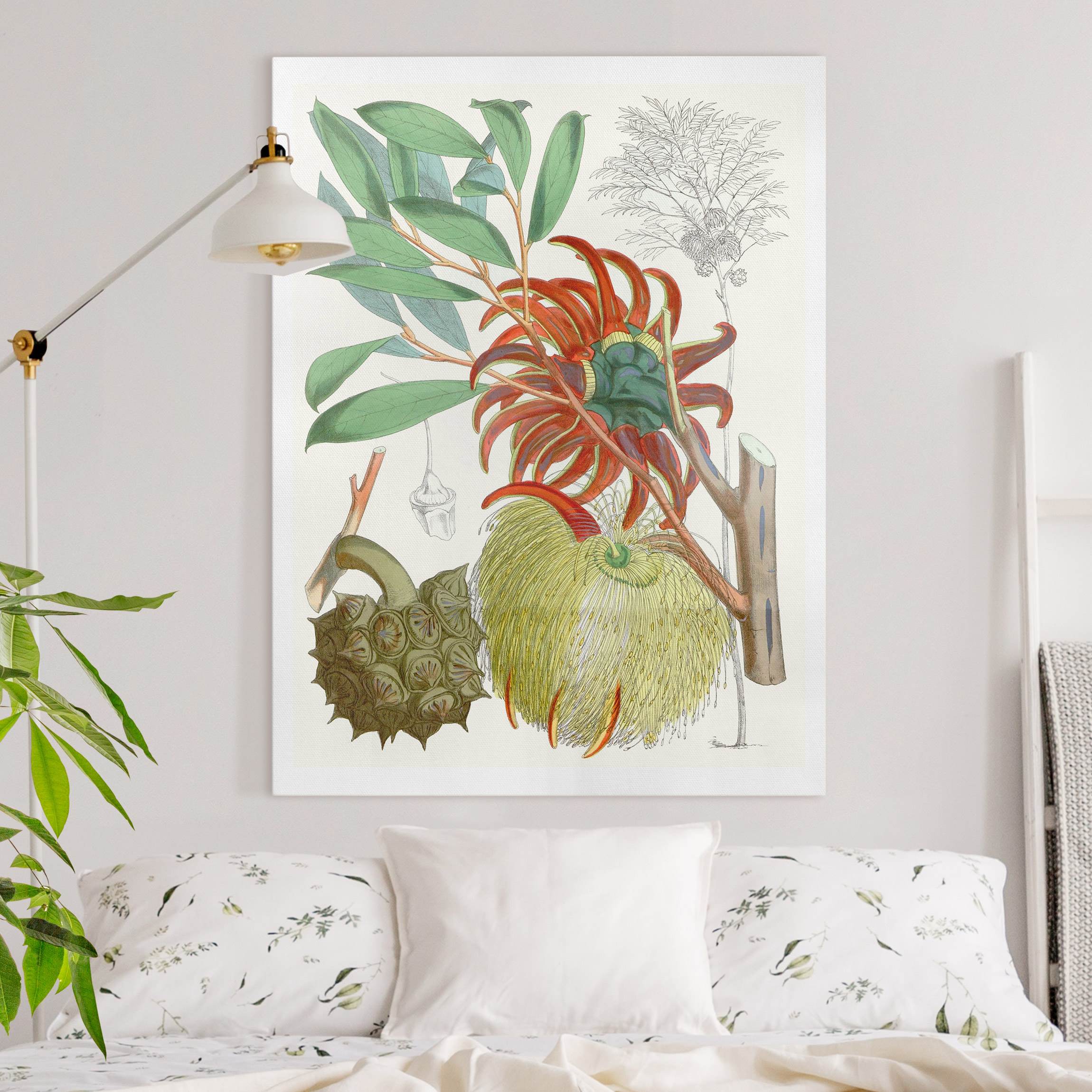 Leinwandbild Vintage Illustration Tropische Blüten II
