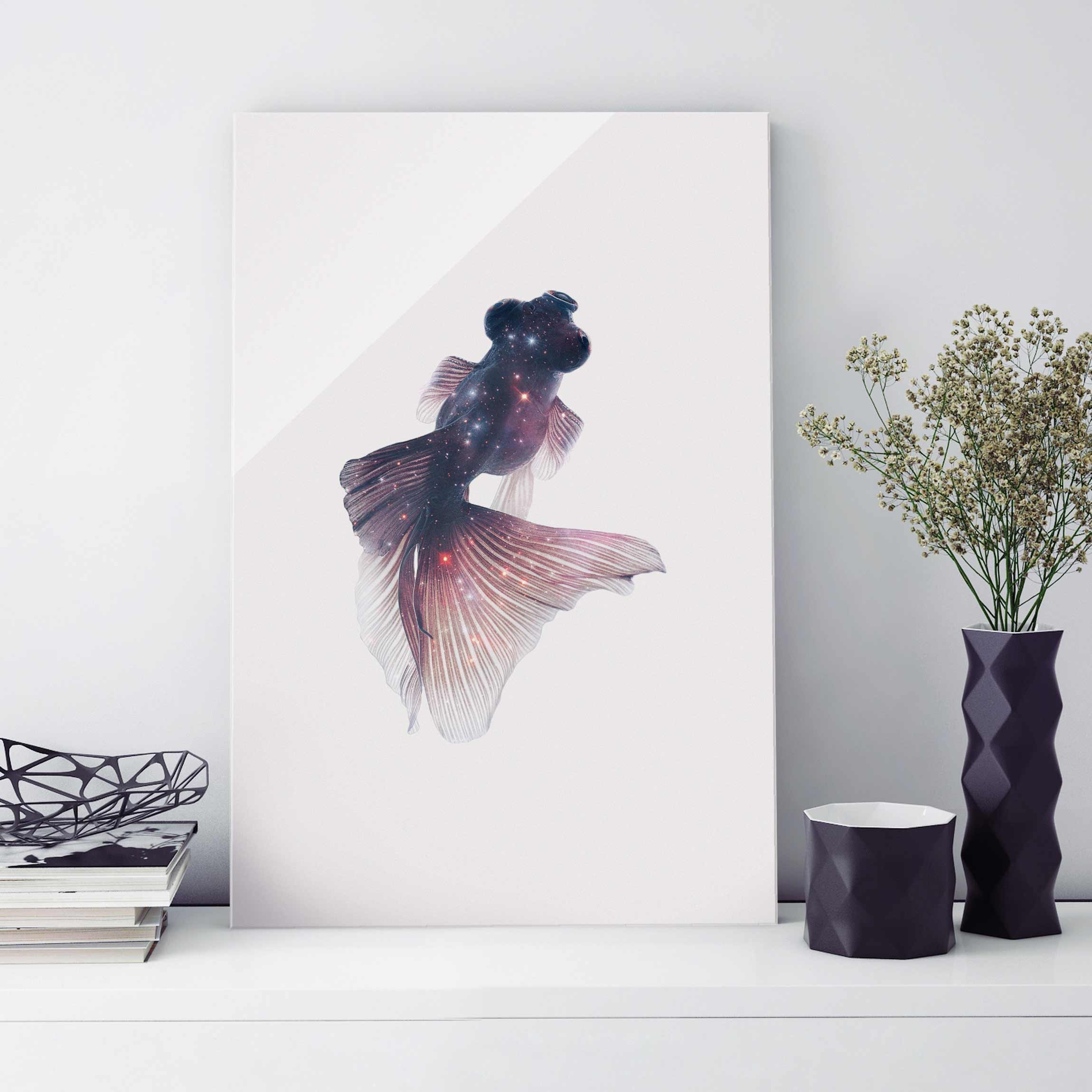 Glasbild Fisch mit Galaxie