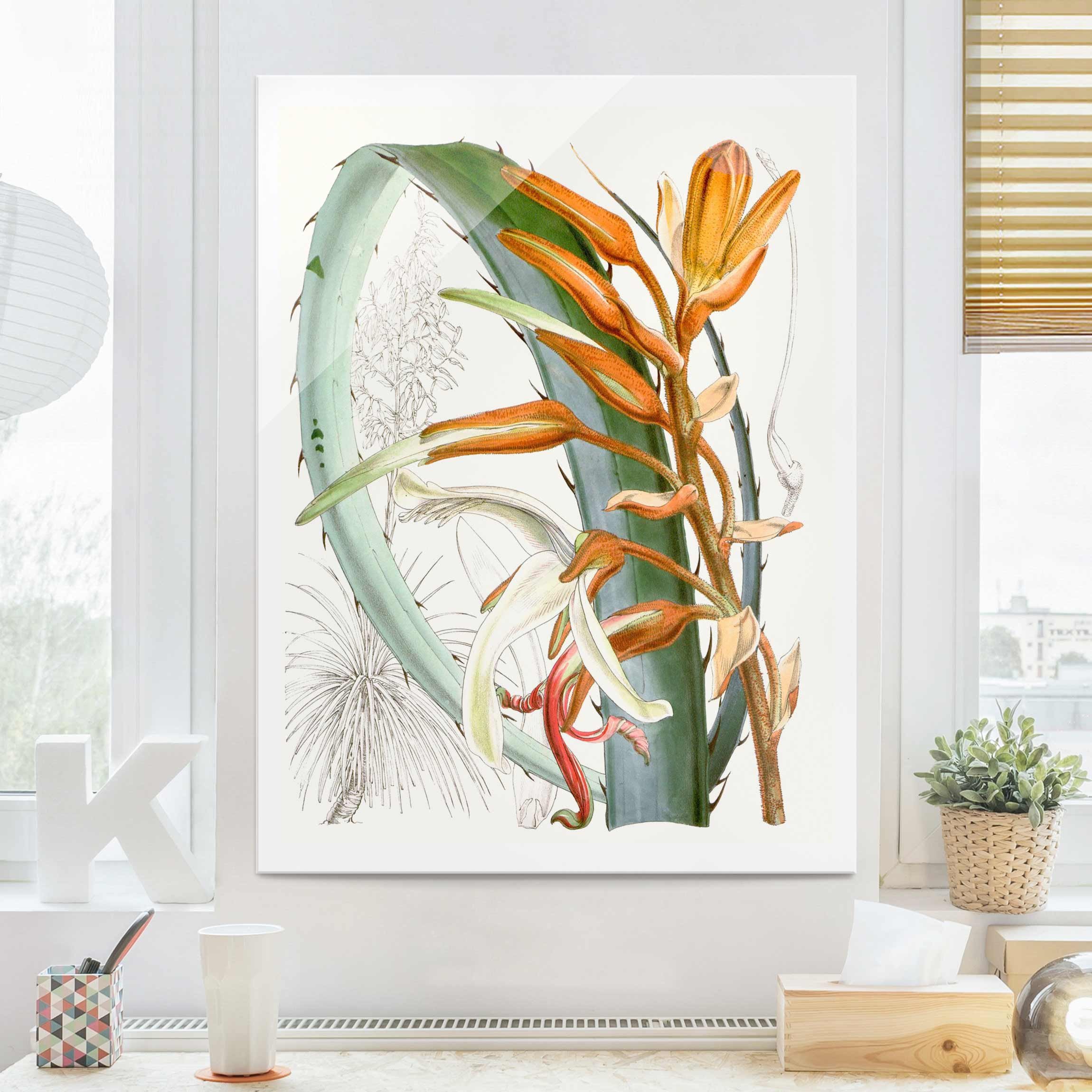 Glasbild - Hochformat Vintage Illustration Tropische Blüten I
