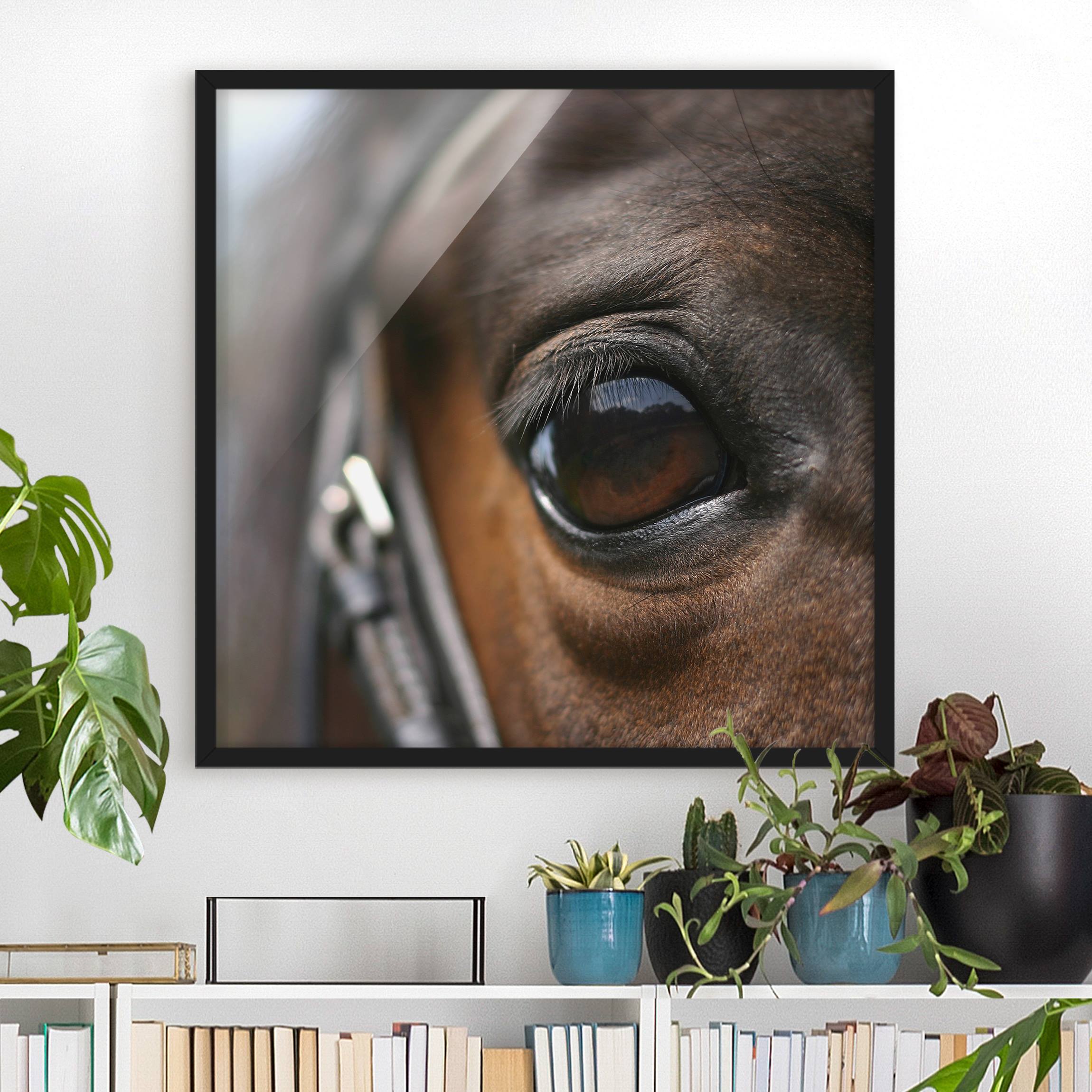Bild mit Rahmen - Quadrat Horse Eye No.3