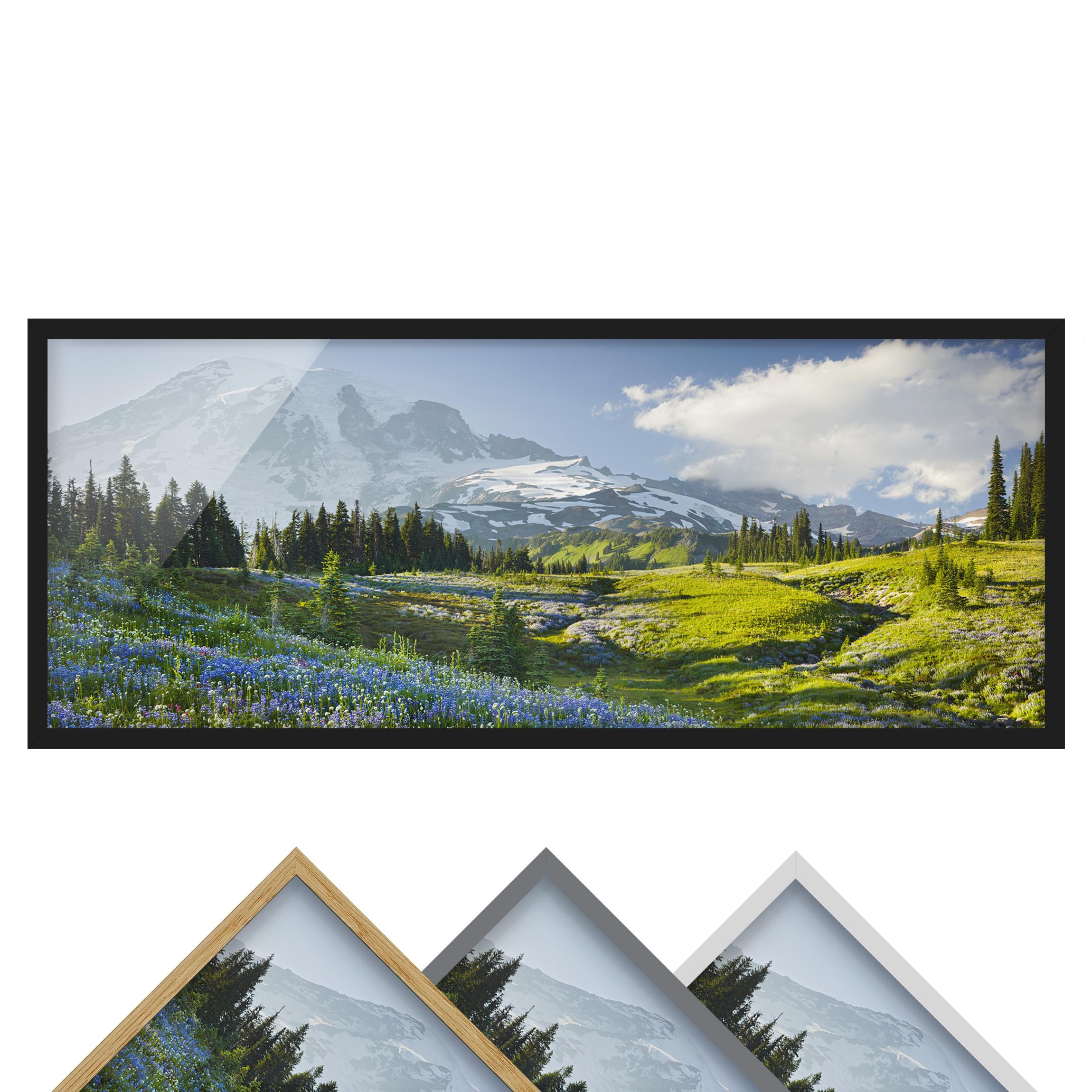 Bild mit Rahmen - Panorama Bergwiese mit blauen Blumen vor Mt. Rainier
