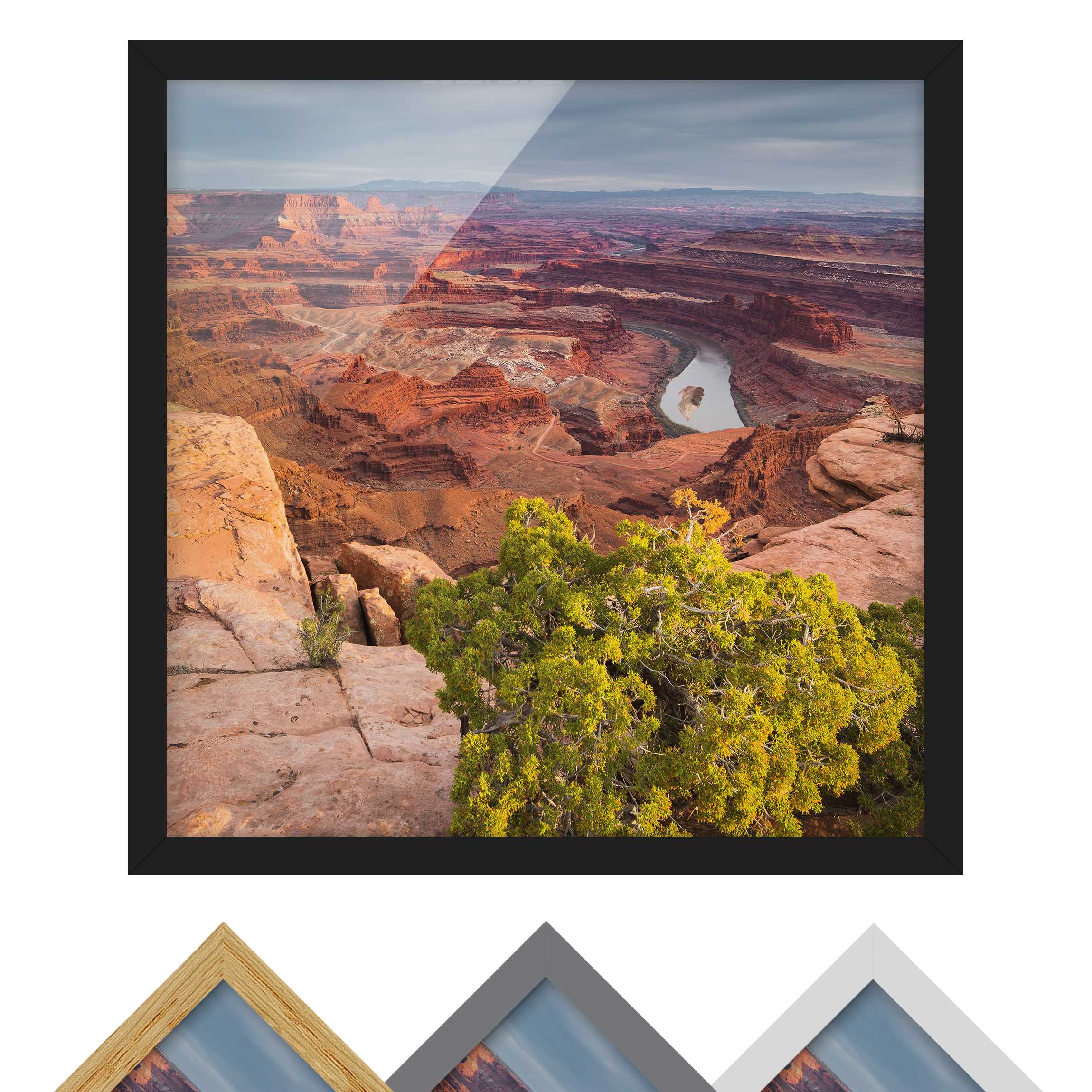 Natur & Landschaft Bild mit Rahmen Dead Horse Point Canyonlands National Park USA