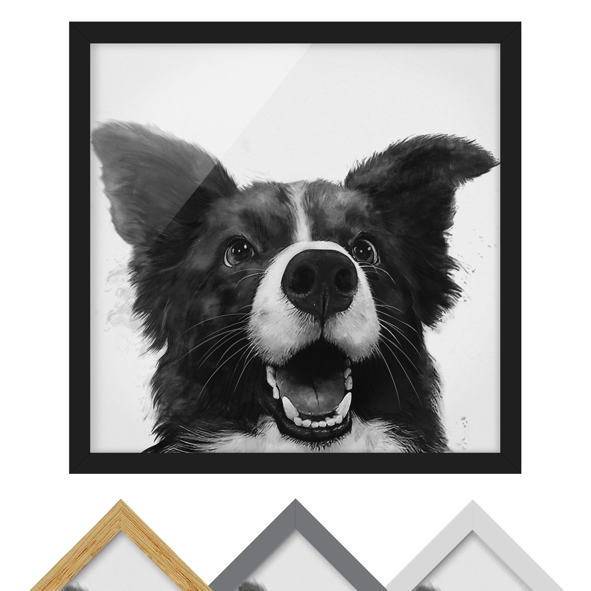 Bild mit Rahmen - Quadrat Illustration Hund Border Collie Schwarz Weiß Malerei