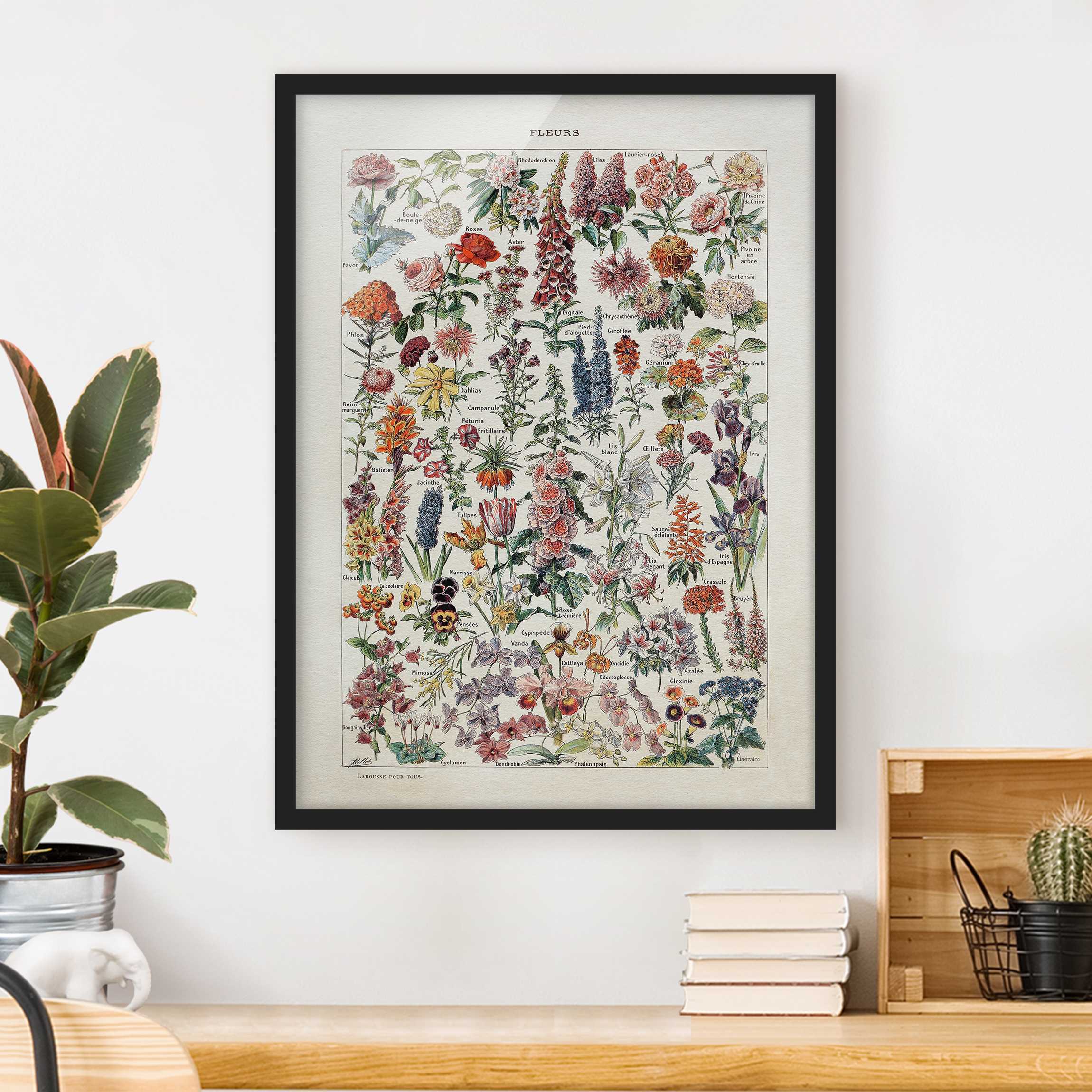 Bild mit Rahmen - Hochformat Vintage Lehrtafel Blumen V