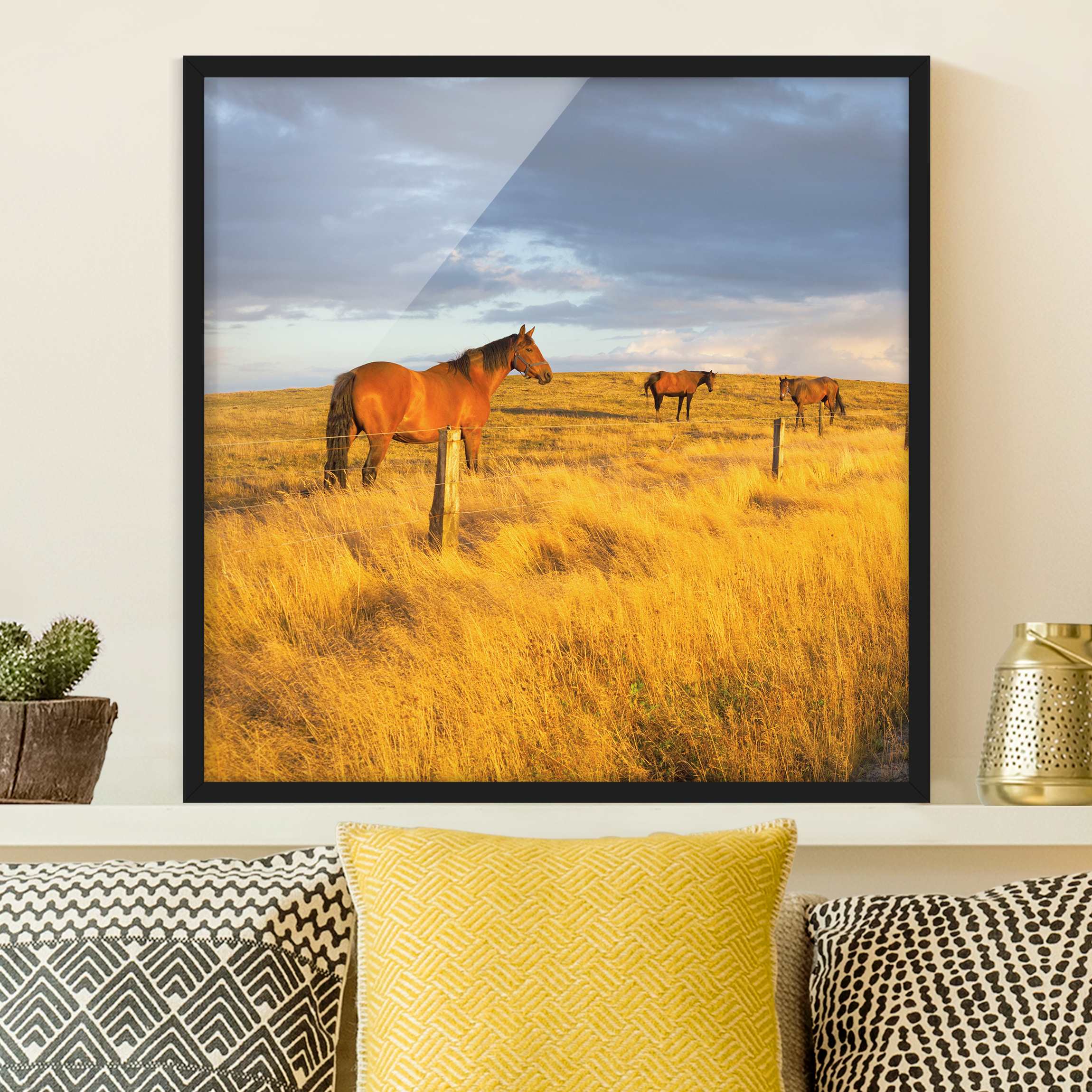 Bild mit Rahmen - Quadrat Feldstraße und Pferde bei Abendsonne