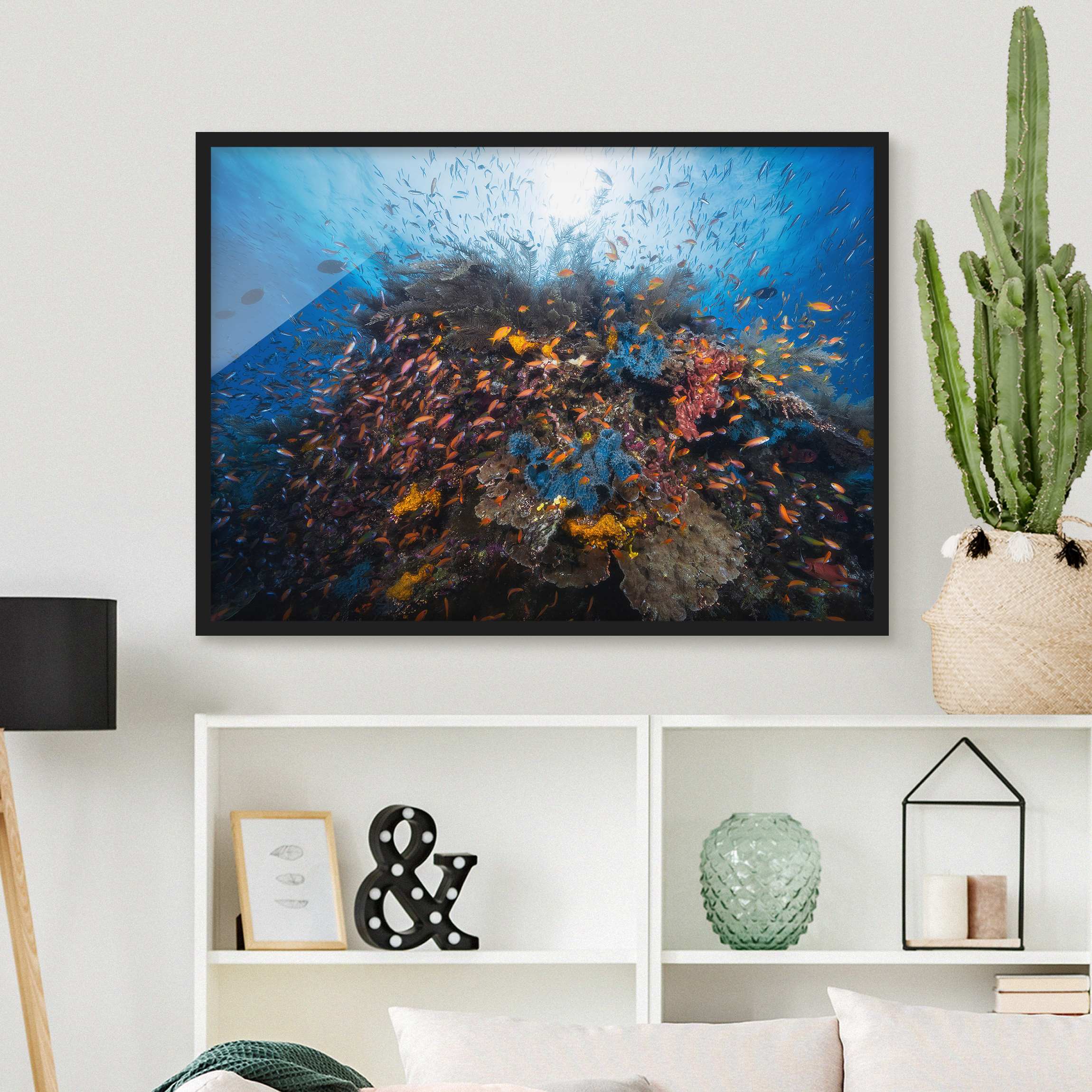Bild mit Rahmen - Querformat Lagune mit Fischen