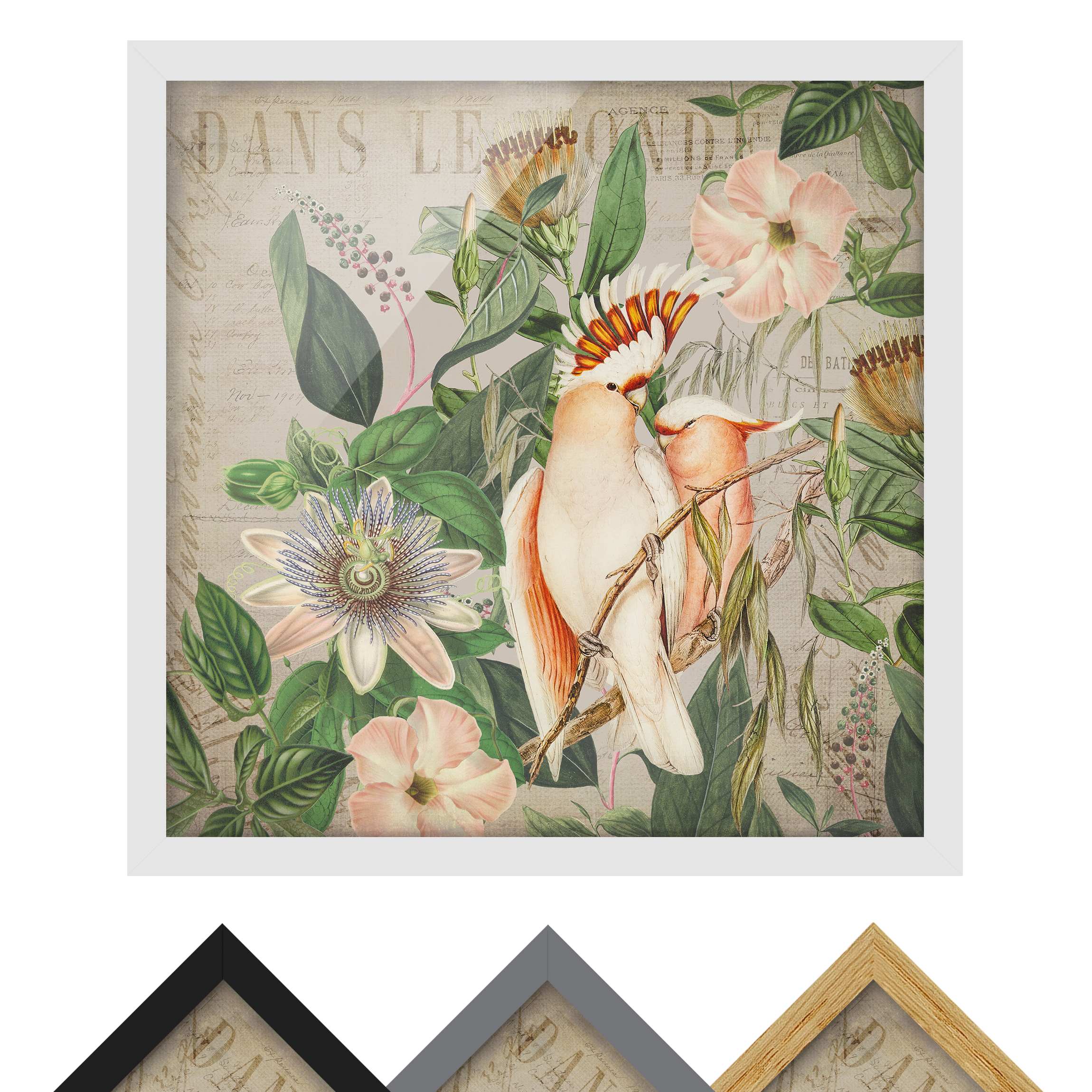 Bild mit Rahmen - Quadrat Colonial Style Collage - Rosa Kakadu