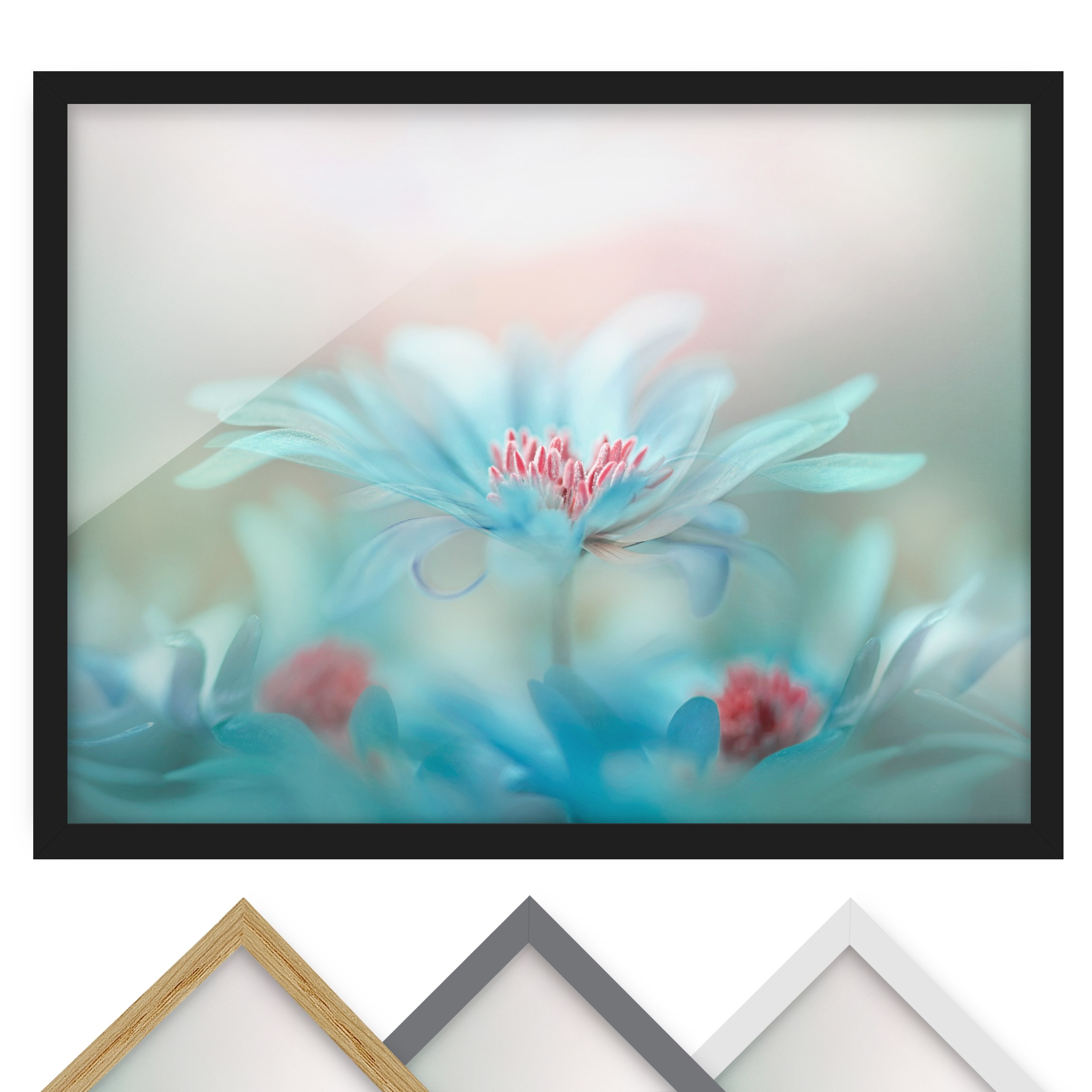 Bild mit Rahmen - Querformat Zarte Blüten in Pastell