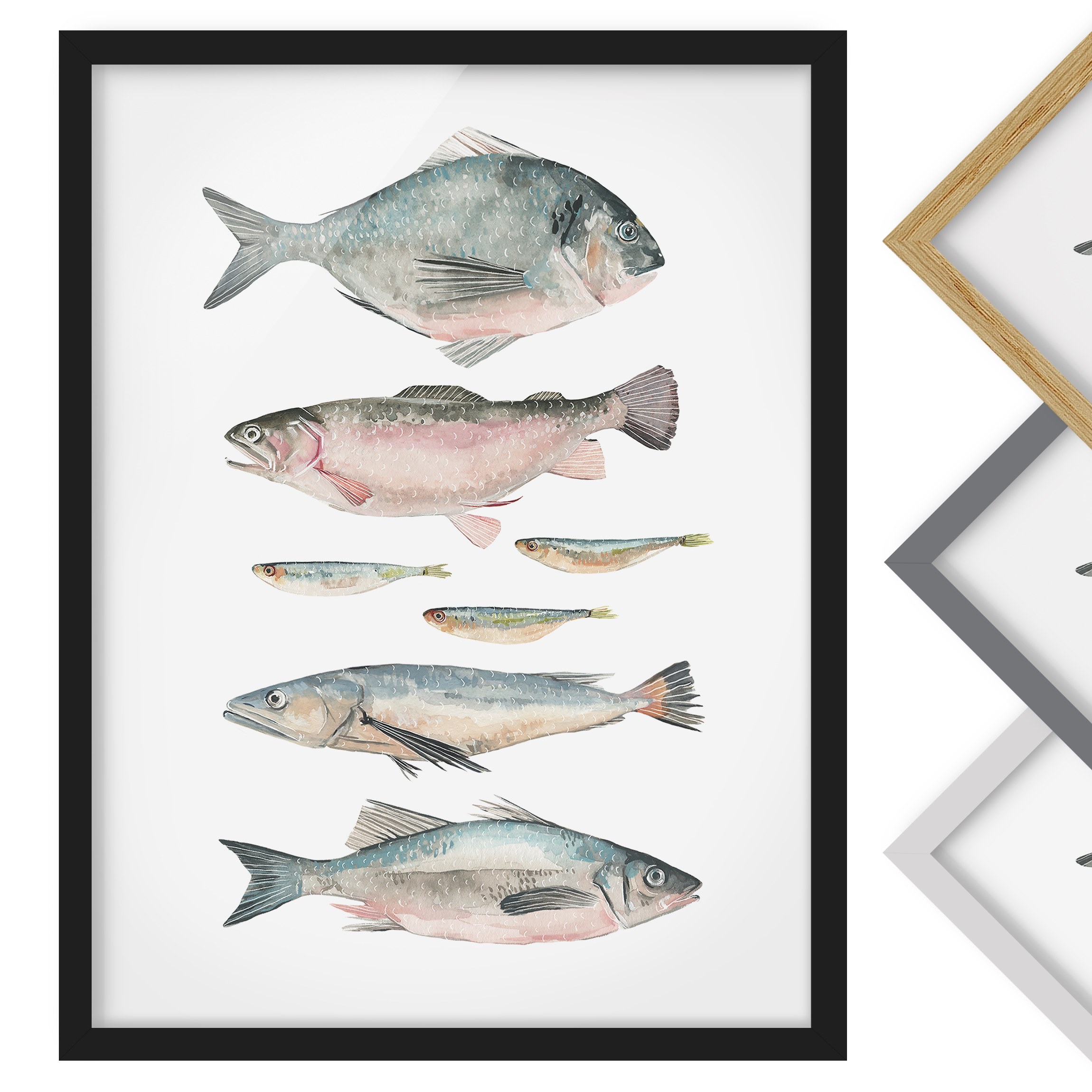 Aquarell Bild mit Rahmen Sieben Fische in Aquarell II