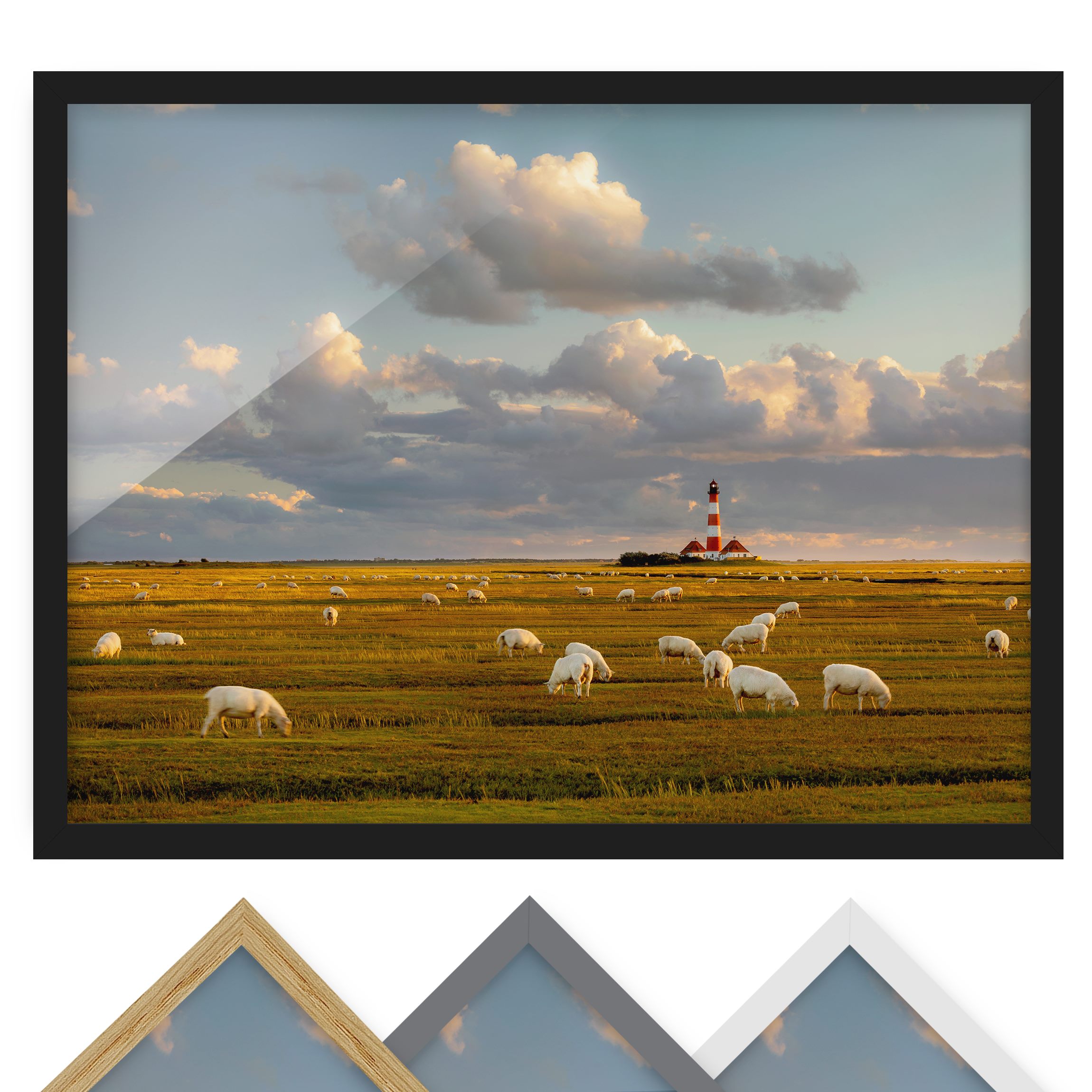 Bild mit Rahmen - Querformat Nordsee Leuchtturm mit Schafsherde