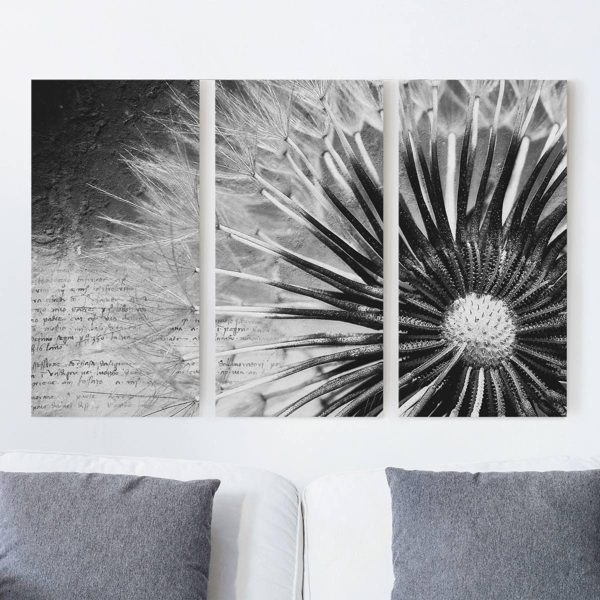 3-teiliges Leinwandbild Blumen Pusteblume Schwarz & Weiß