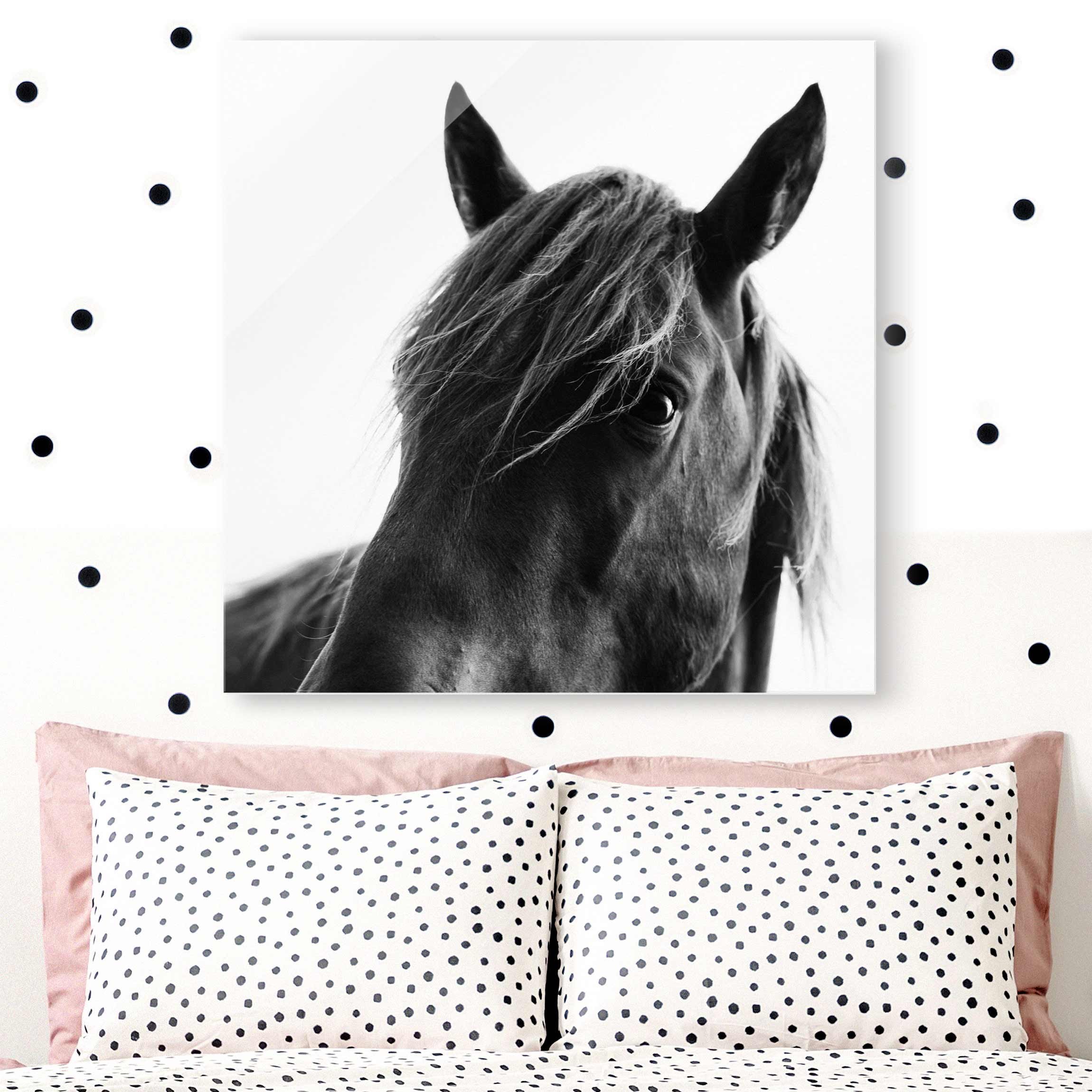 Glasbild Tiere Neugieriges Pferd