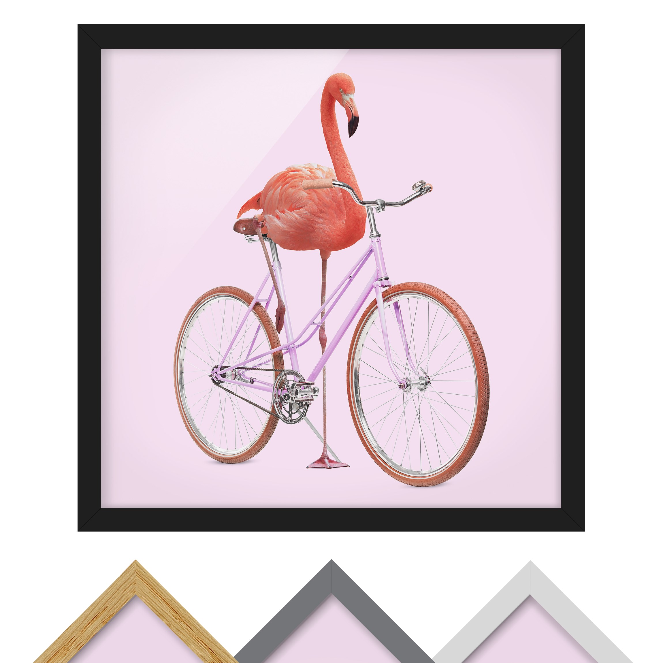Bild mit Rahmen - Quadrat Flamingo mit Fahrrad