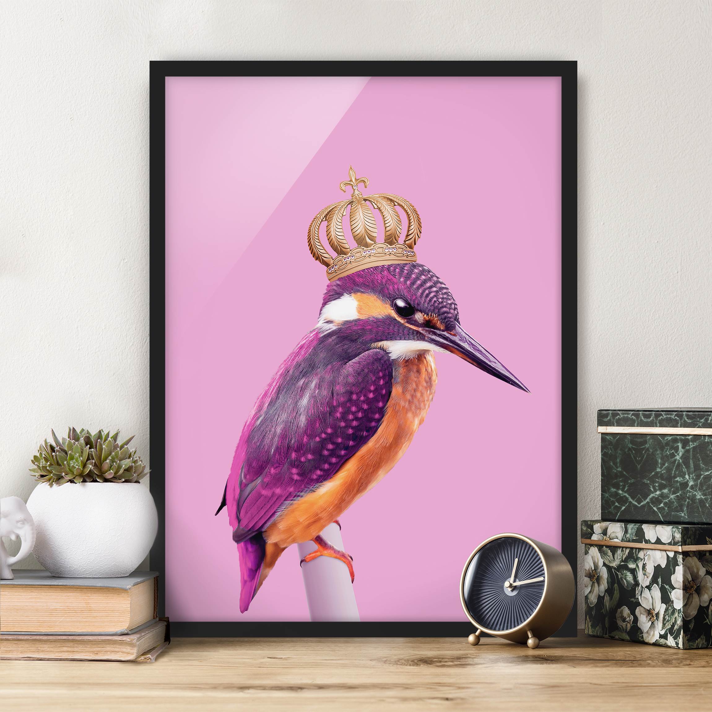Bild mit Rahmen - Hochformat Rosa Eisvogel mit Krone