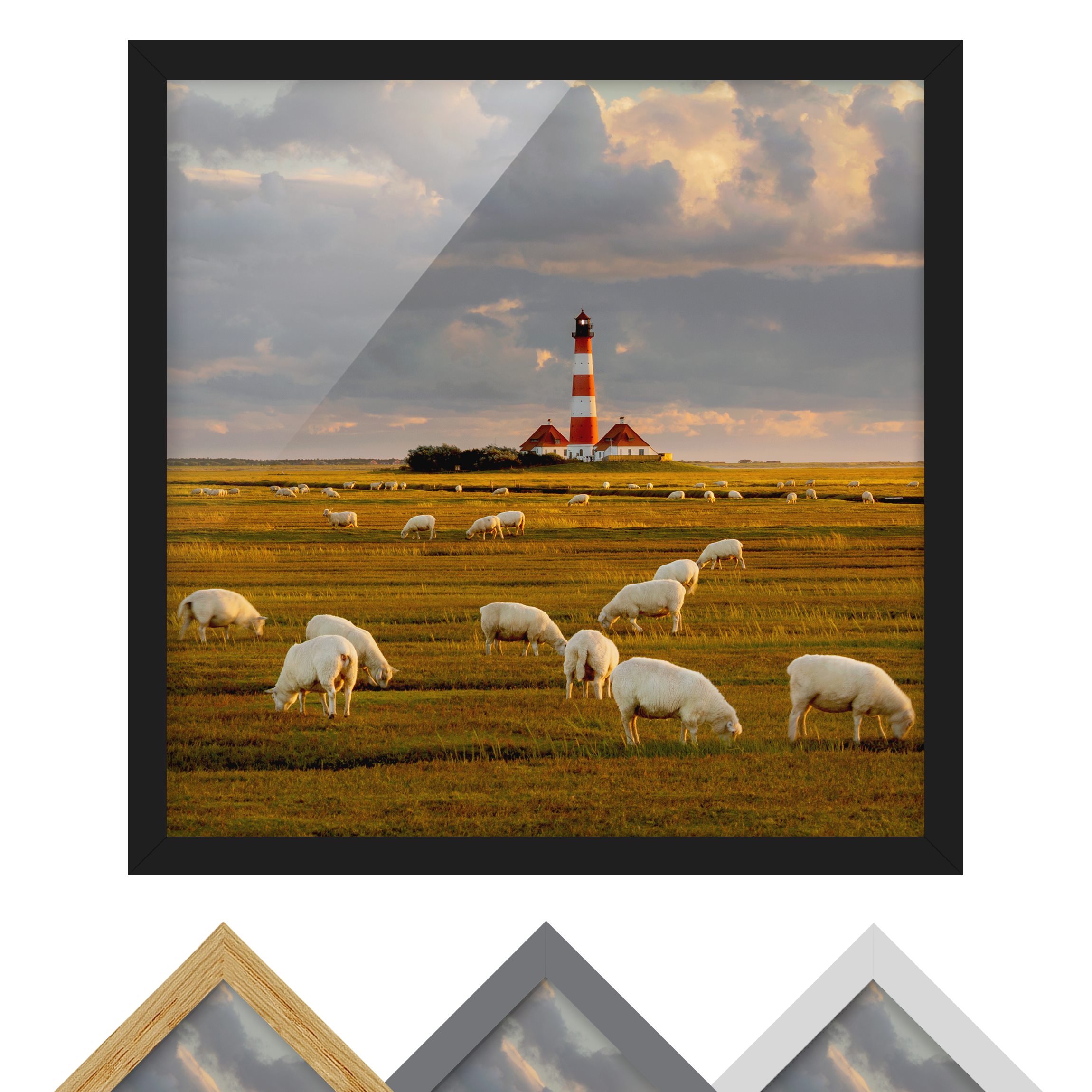 Bild mit Rahmen - Quadrat Nordsee Leuchtturm mit Schafsherde
