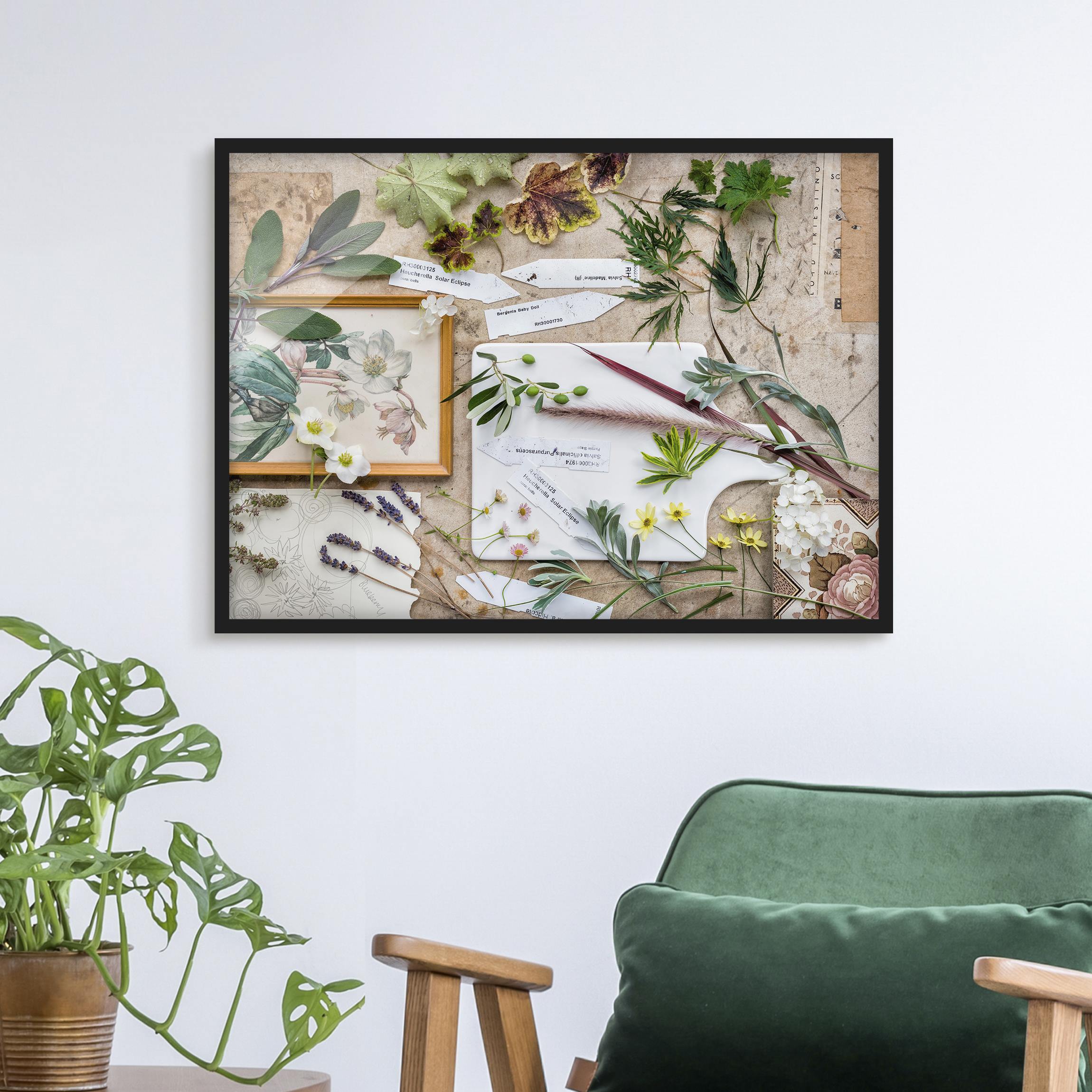 Bild mit Rahmen - Querformat Blumen und Gartenkräuter Vintage