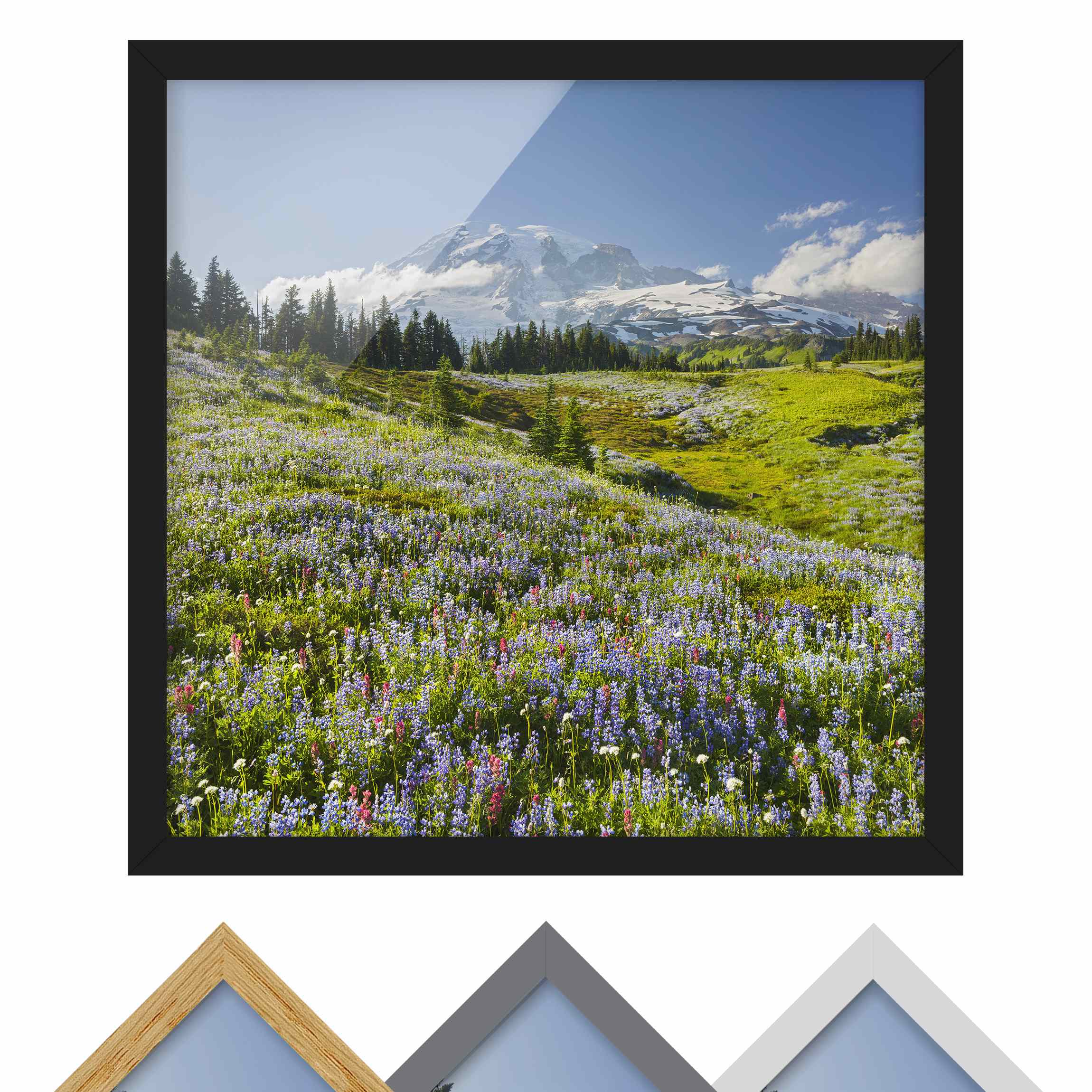 Bild mit Rahmen - Quadrat Bergwiese mit roten Blumen vor Mt. Rainier