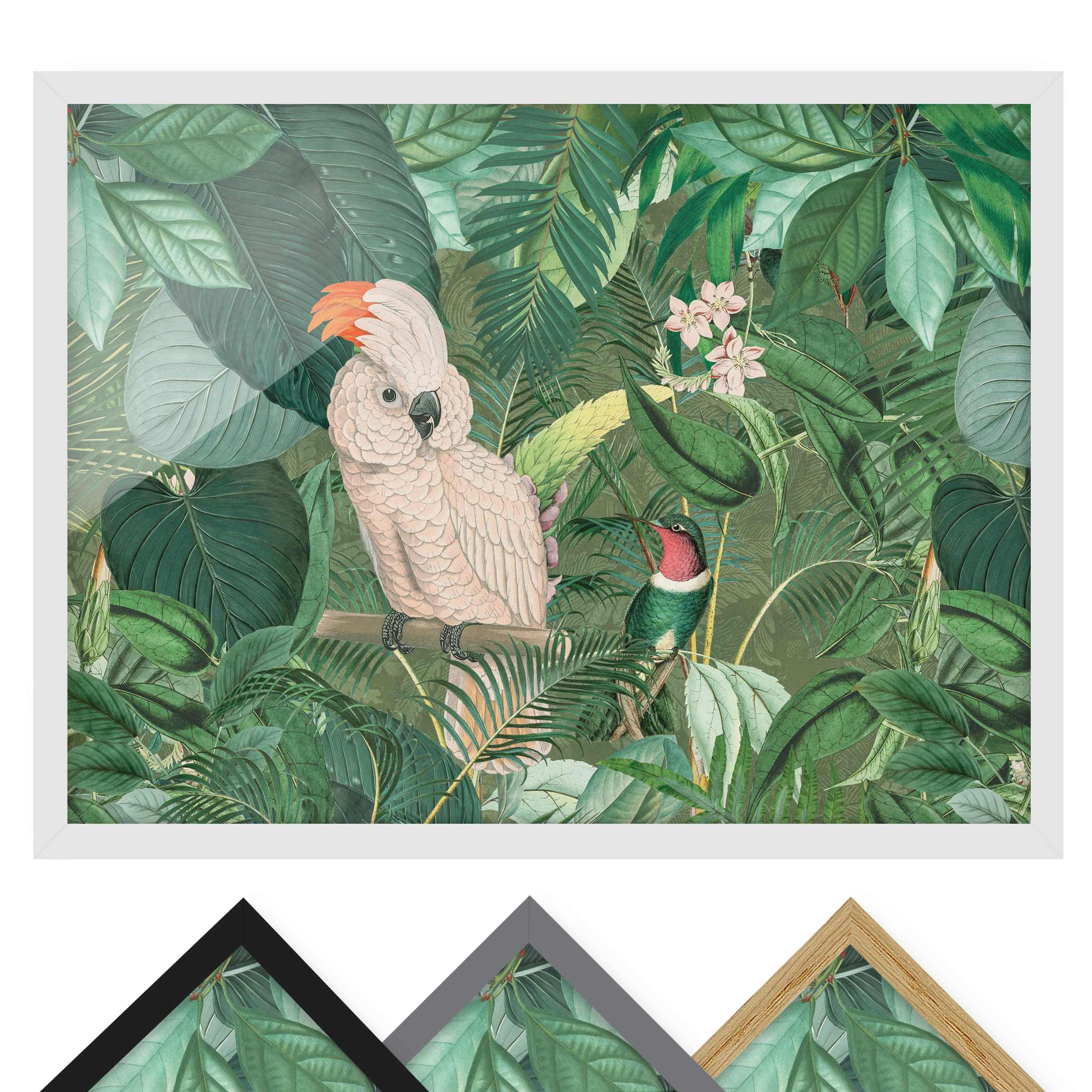 Bild mit Rahmen - Querformat Vintage Collage - Kakadu und Kolibri