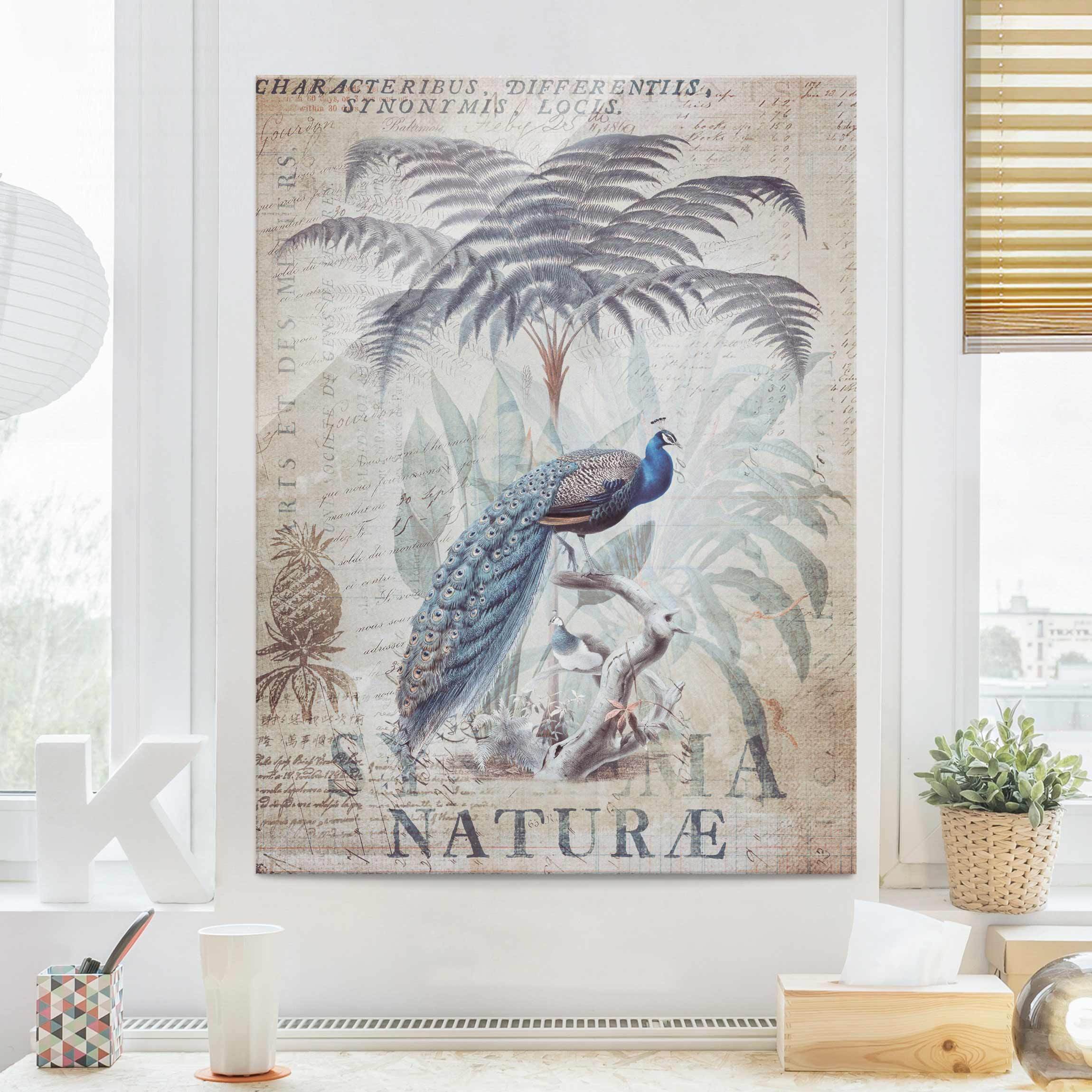 Glasbild Shabby Chic Collage - Pfau