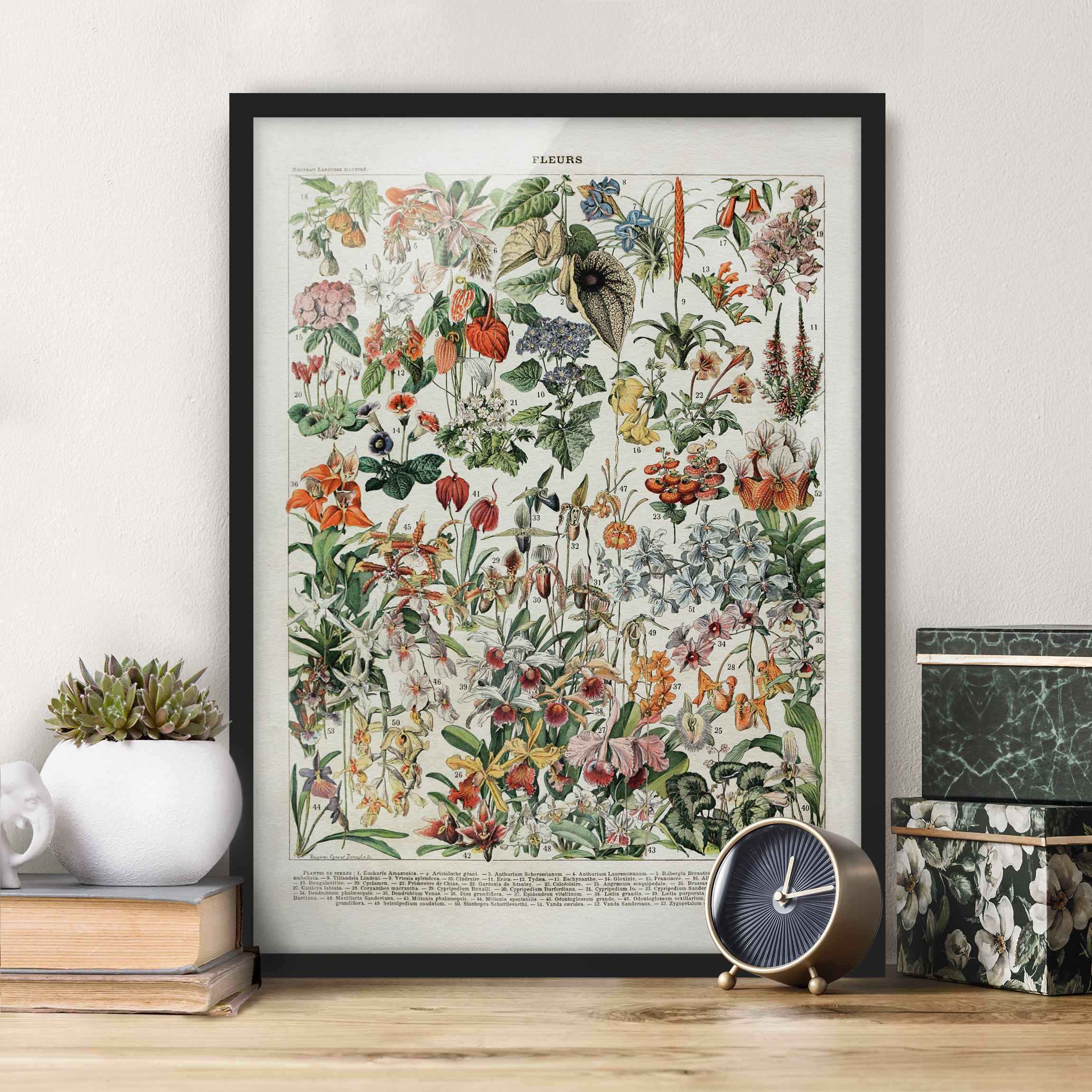 Bild mit Rahmen - Hochformat Vintage Lehrtafel Blumen III
