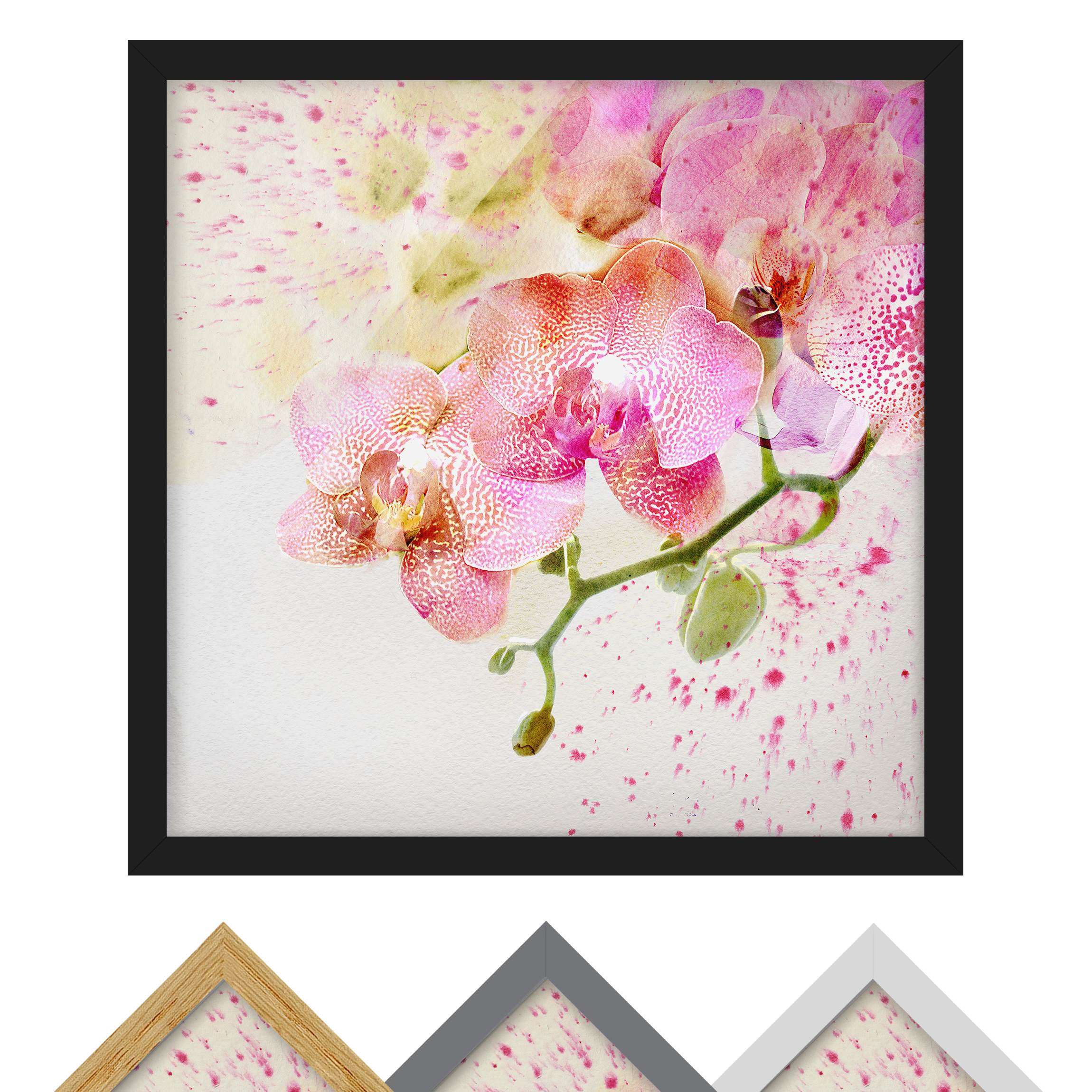 Bild mit Rahmen - Quadrat Aquarell Blumen Orchideen