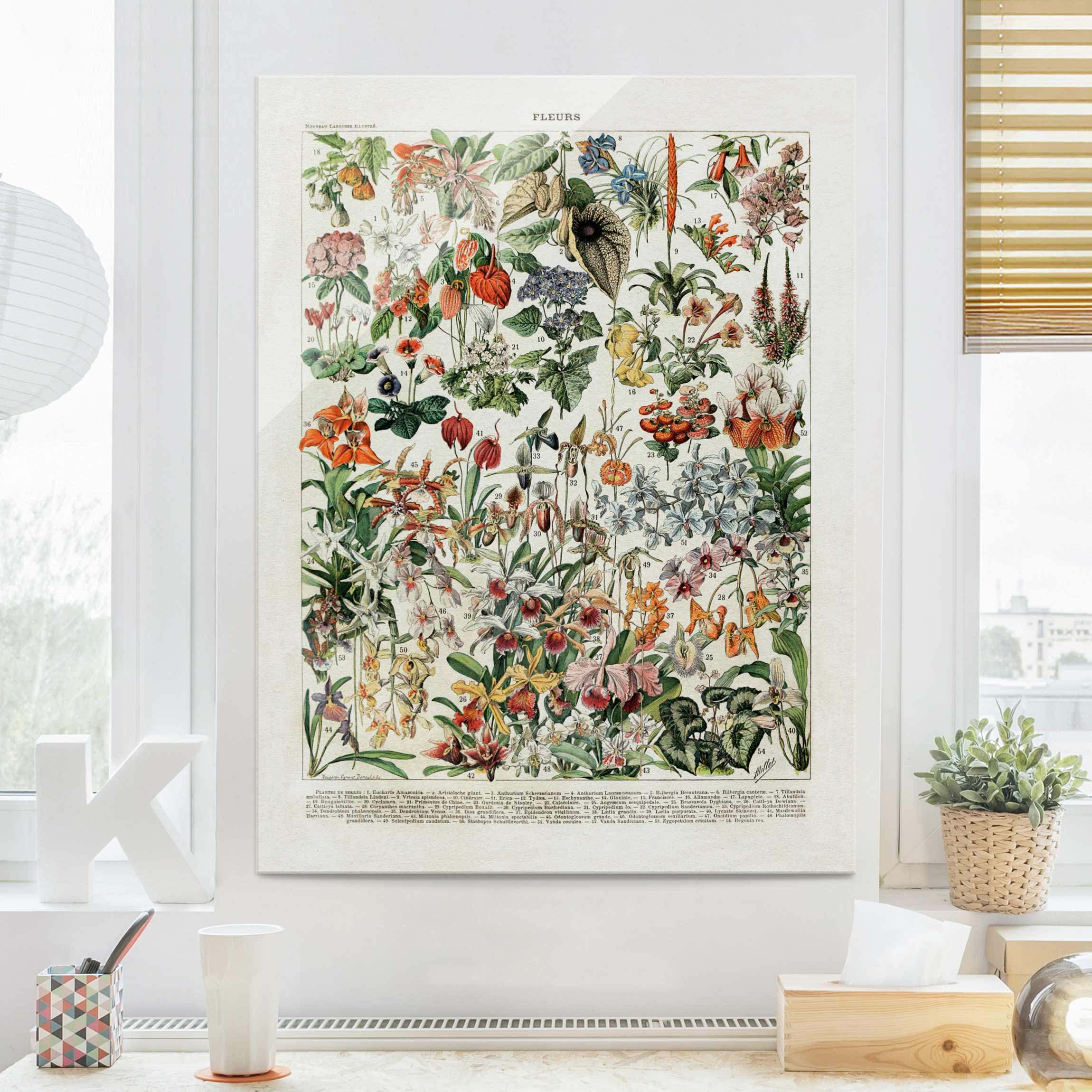 Glasbild - Hochformat Vintage Lehrtafel Blumen III