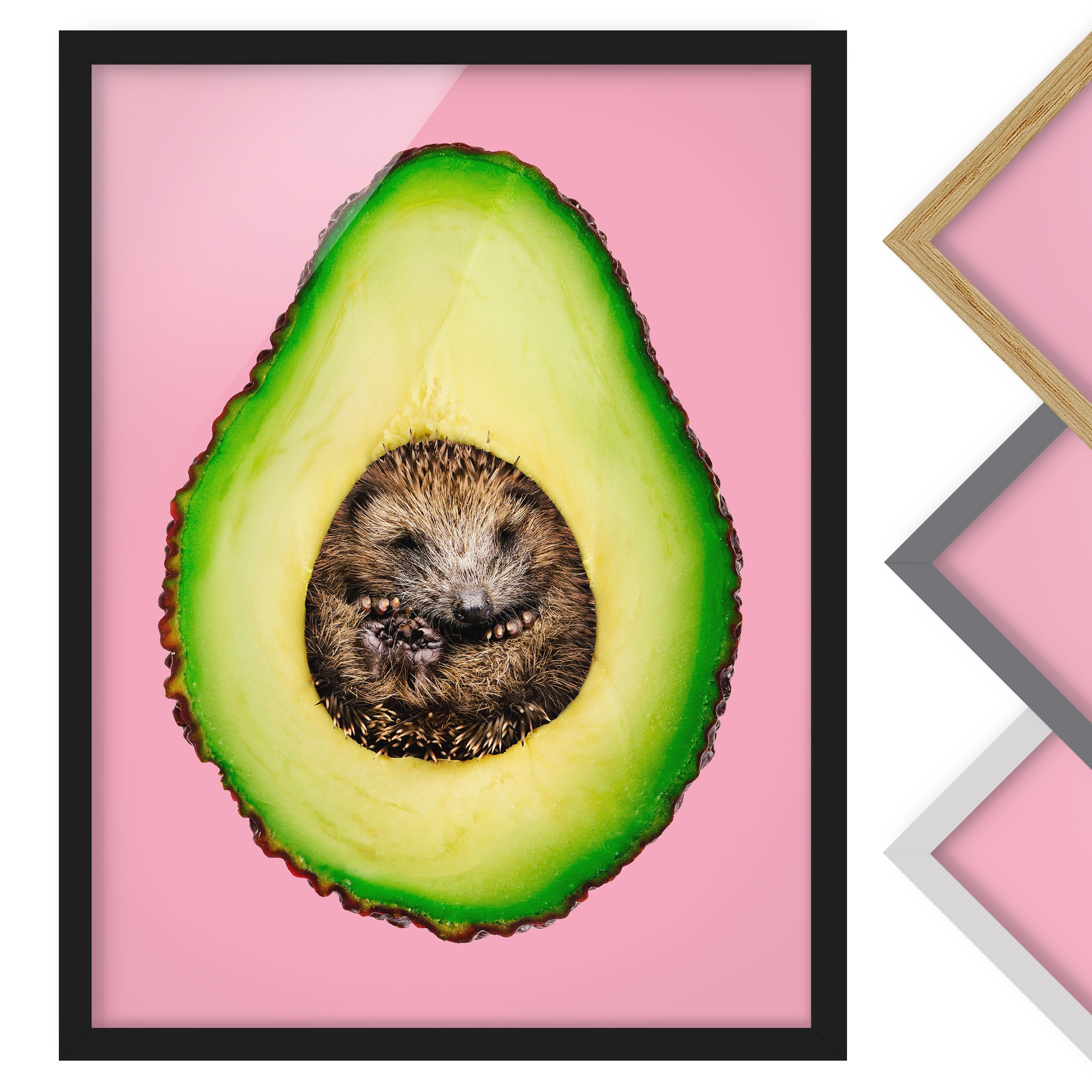 Bild mit Rahmen - Hochformat Avocado mit Igel