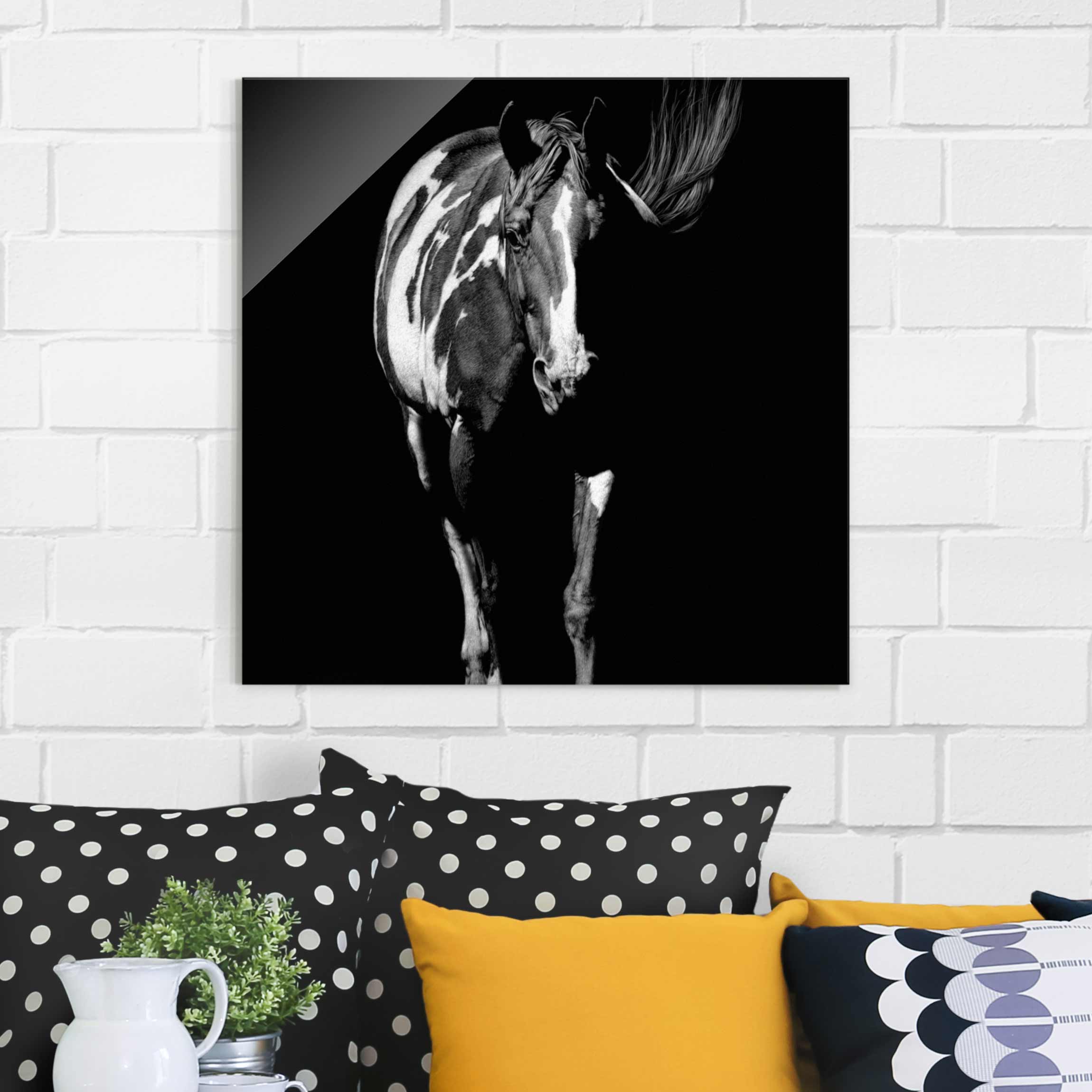 Glasbild Pferd vor Schwarz