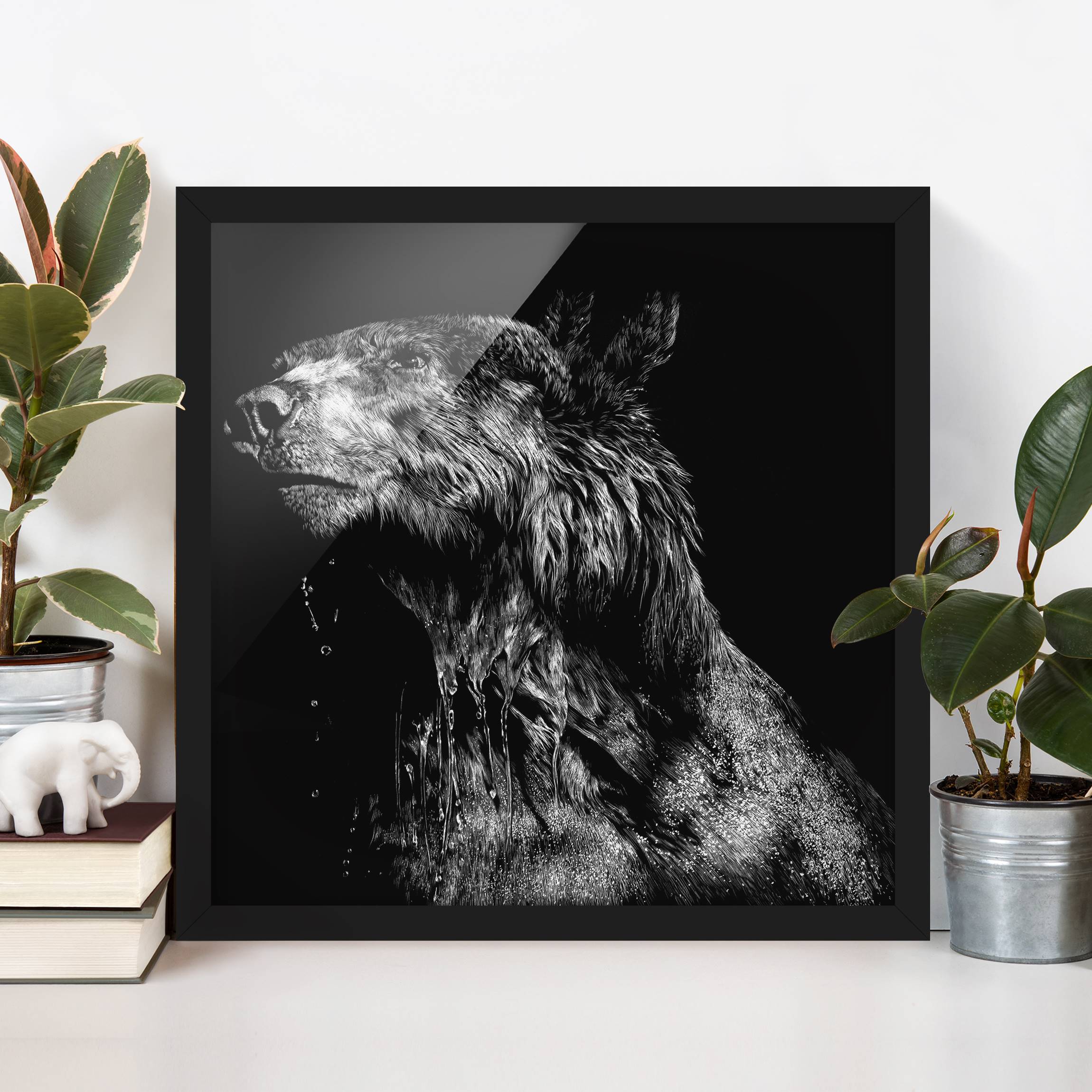 Schwarz-Weiß Bild mit Rahmen Bär vor Schwarz