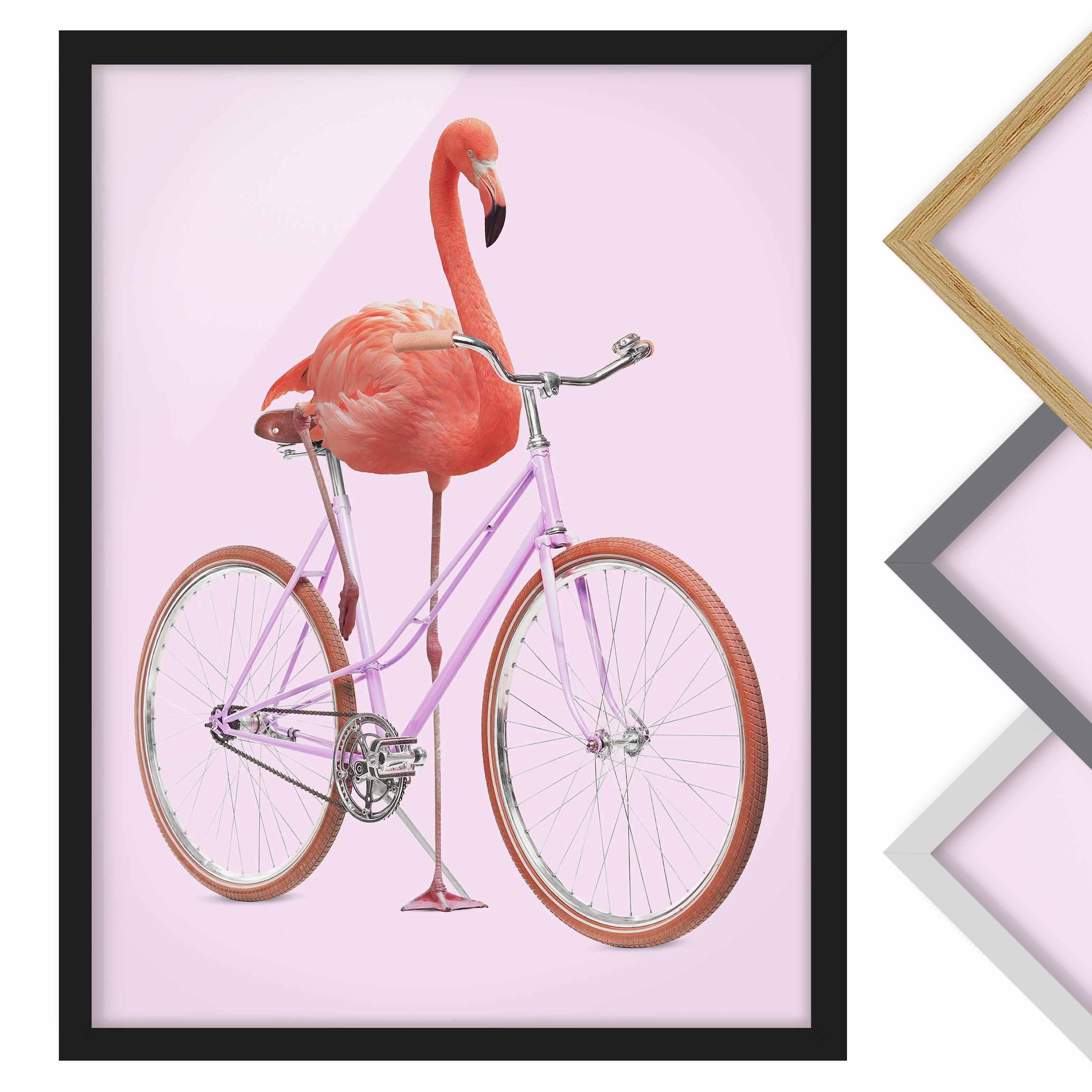 Bild mit Rahmen Flamingo mit Fahrrad