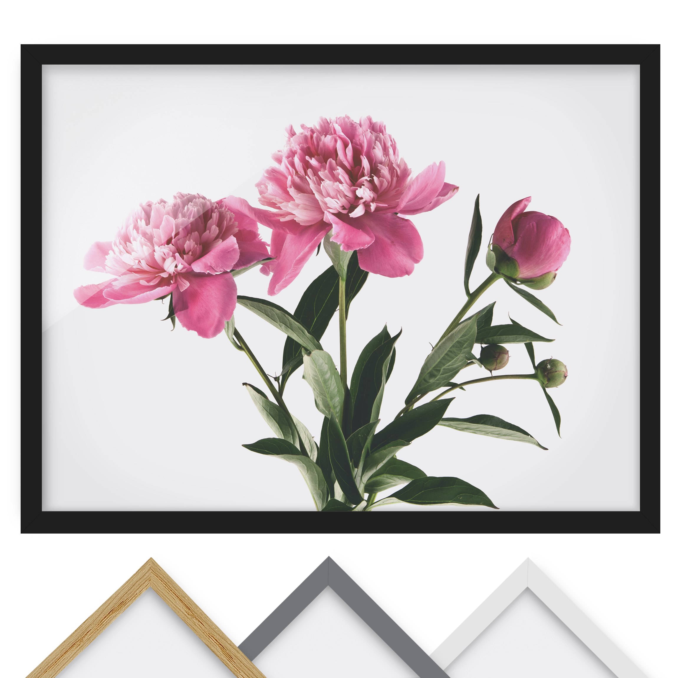 Bild mit Rahmen - Querformat Blüten und Knospen Pink auf Weiß