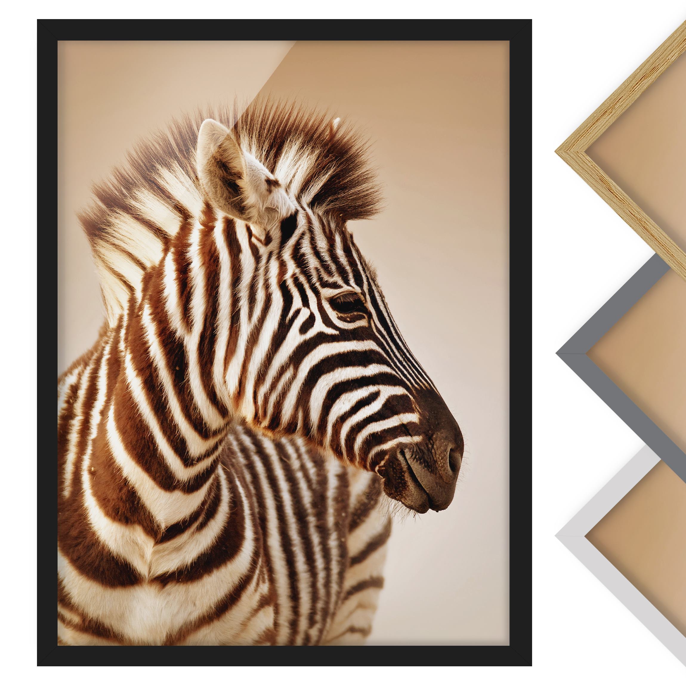 Bild mit Rahmen - Hochformat Zebra Baby Portrait