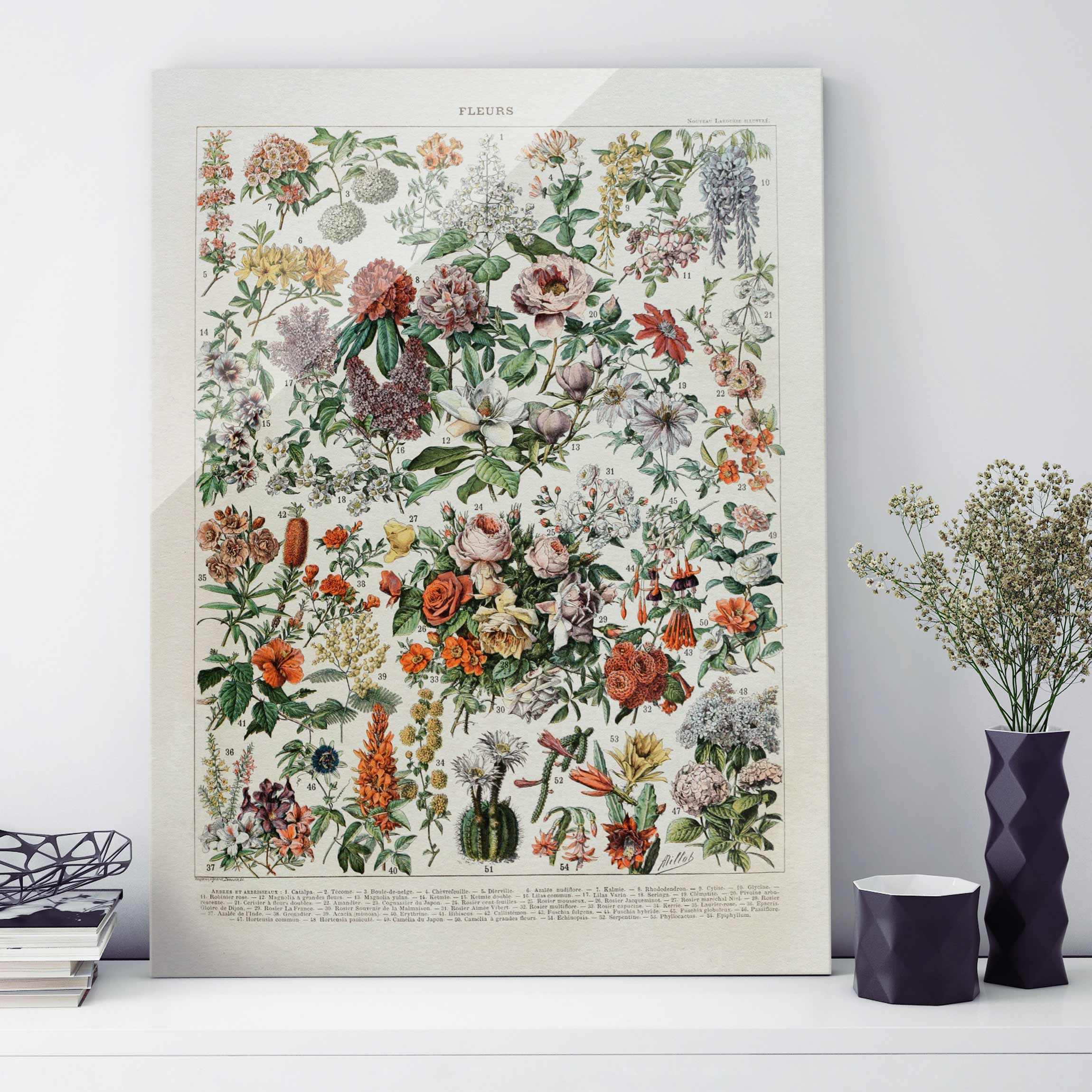 Glasbild - Hochformat Vintage Lehrtafel Blumen II