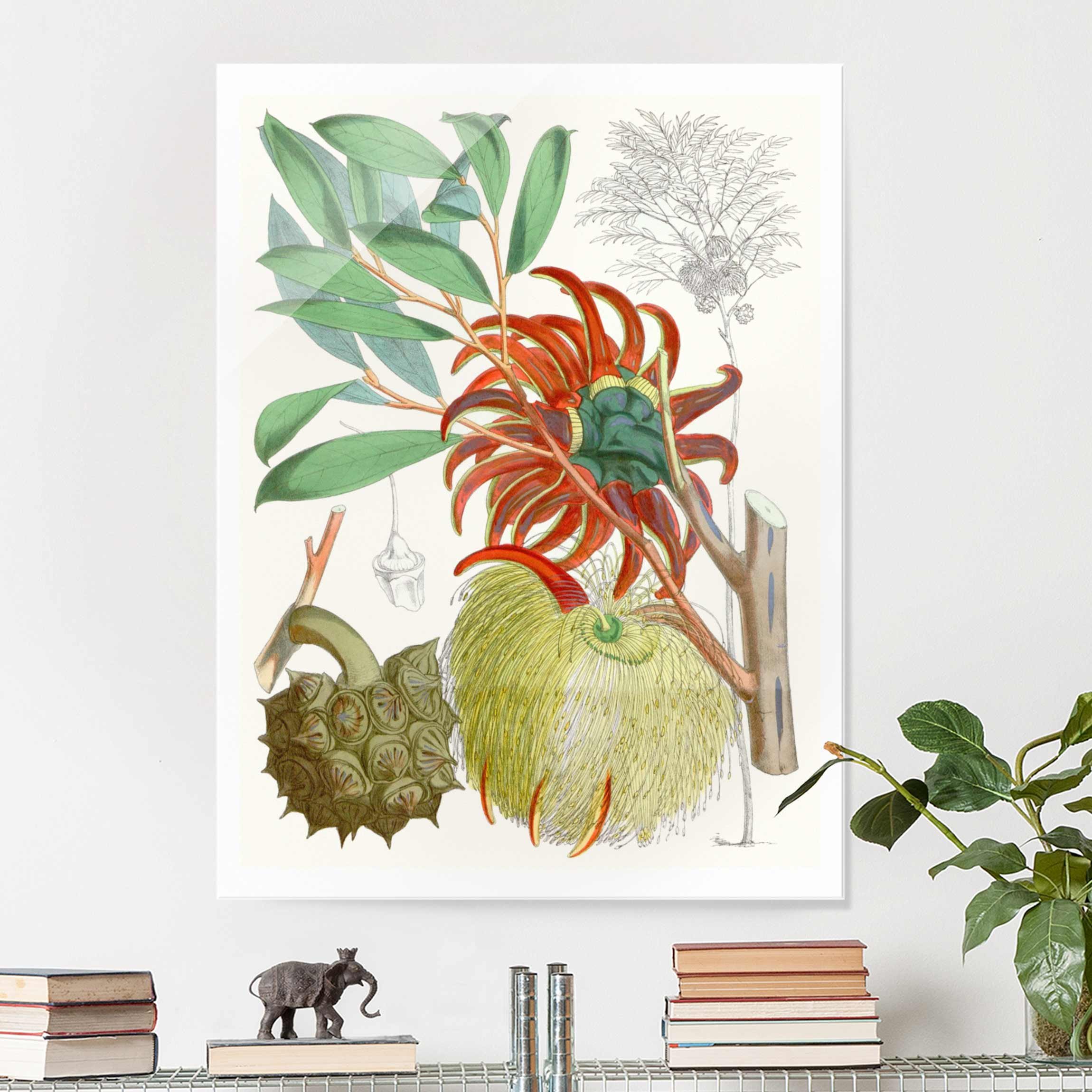 Glasbild - Hochformat Vintage Illustration Tropische Blüten II