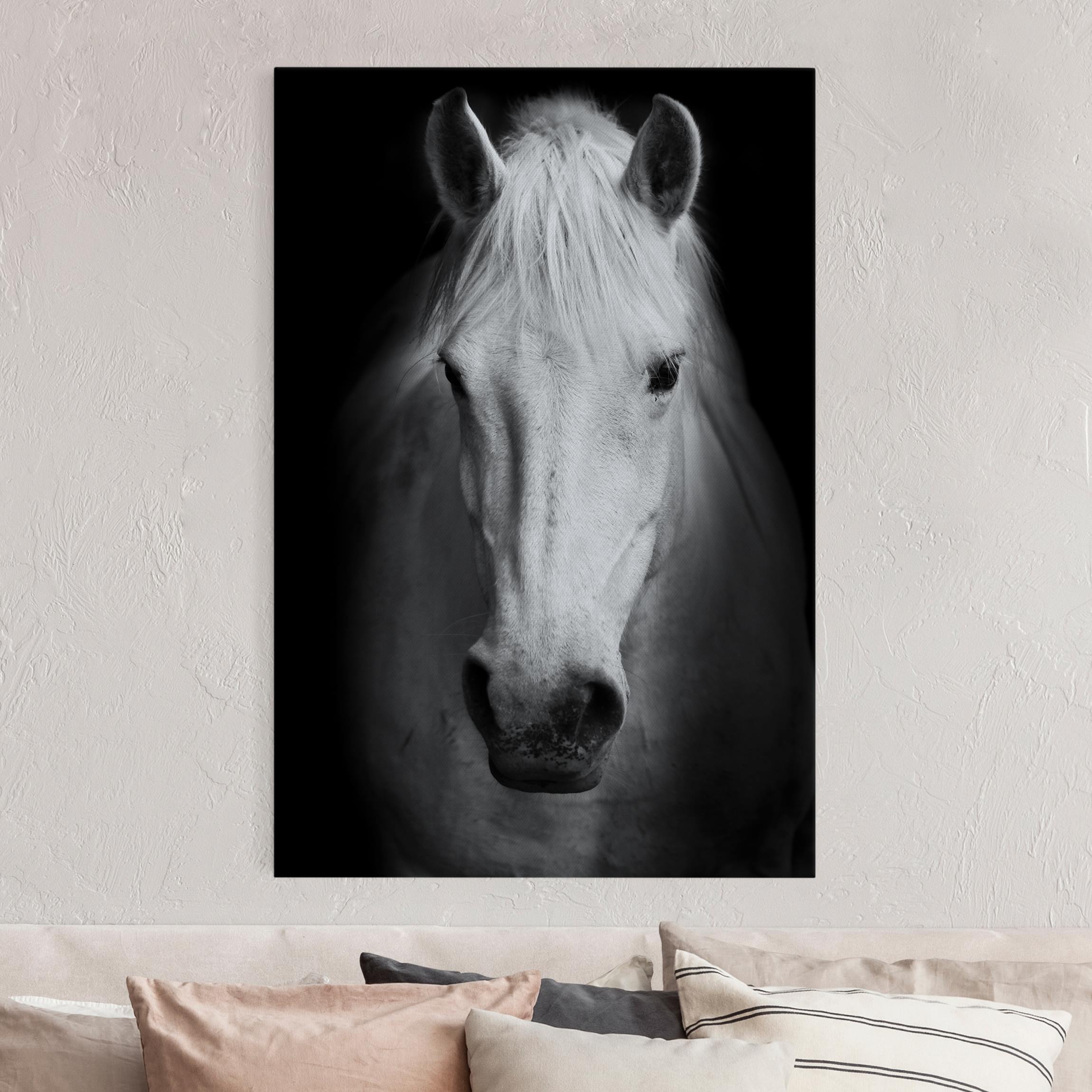 Akustikbild Dream of a Horse