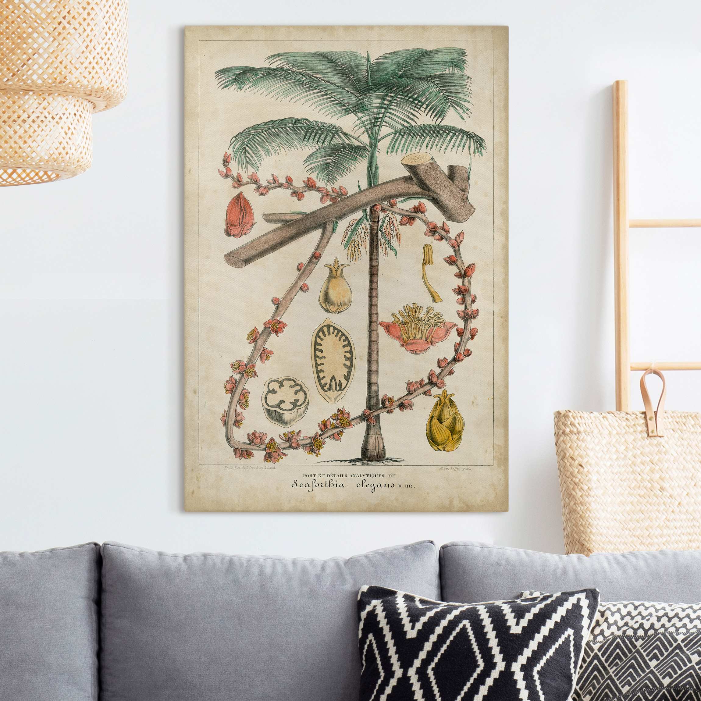 Leinwandbild Vintage Lehrtafel Exotische palmen II