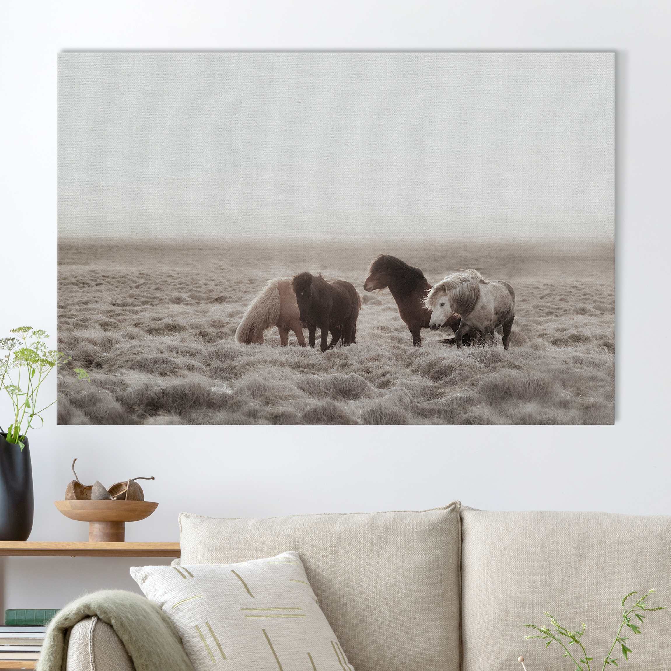 Akustikbild Island Wildpferde