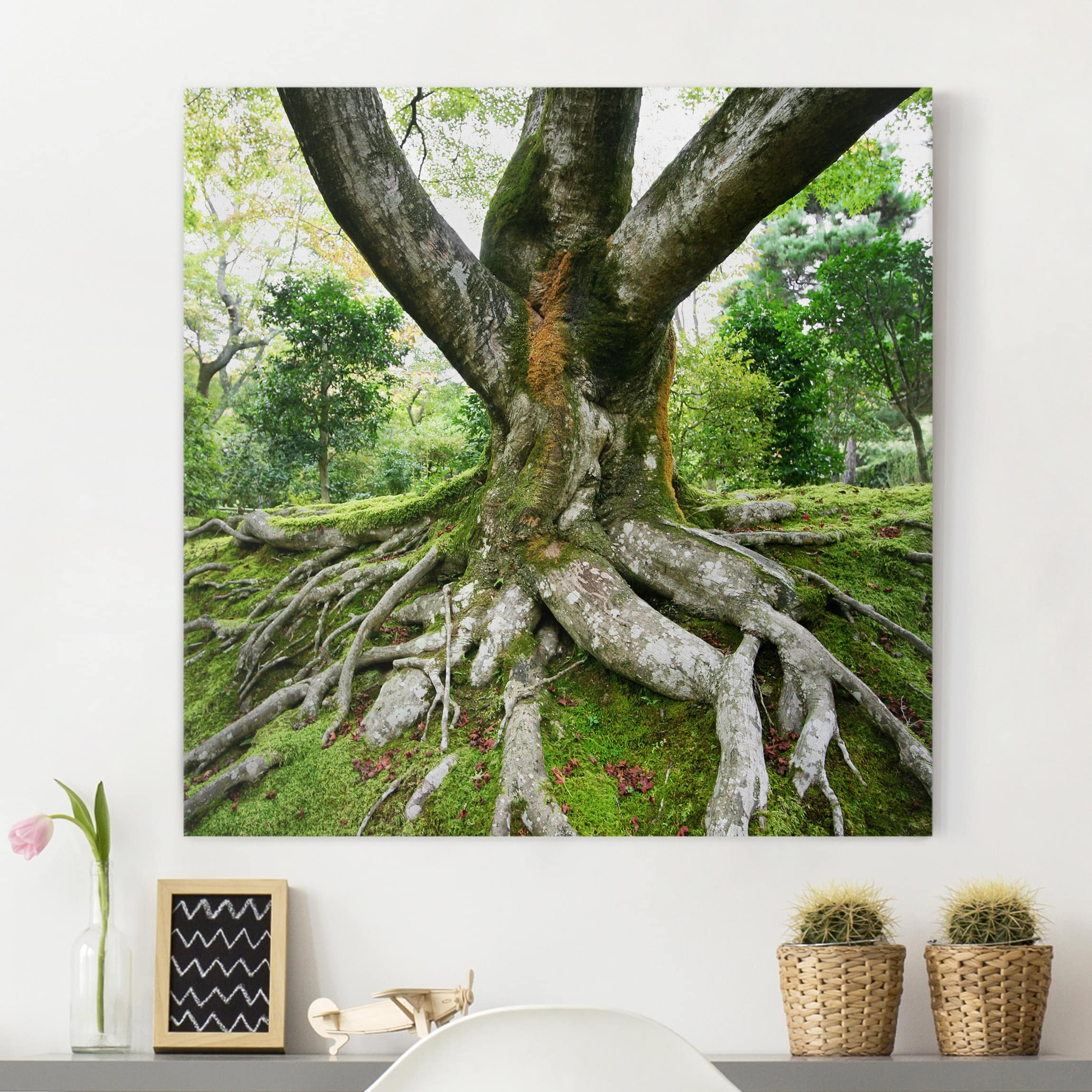 Leinwandbild - Quadrat Alter Baum