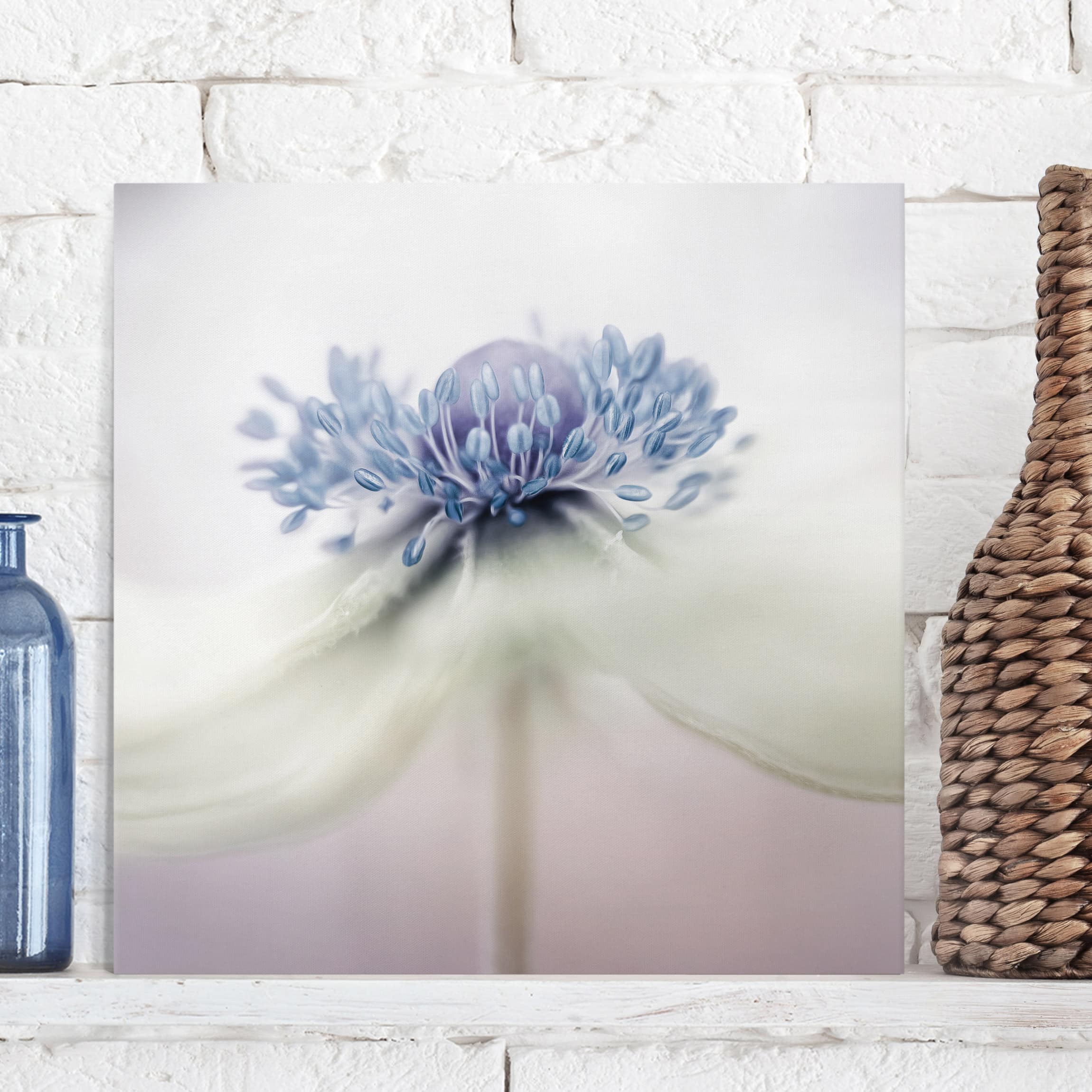 Leinwandbild Blumen Anemone in Violett